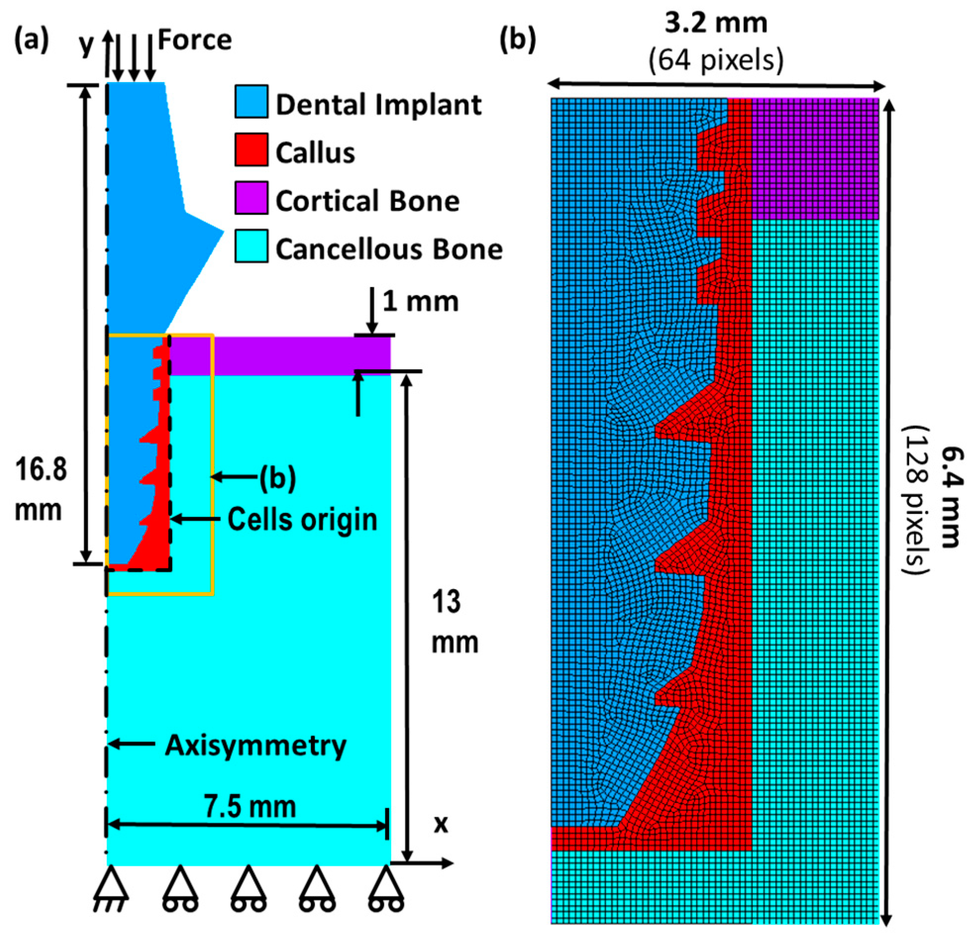 Ijms 24 01948 g009 Ijms 24 01948 g009