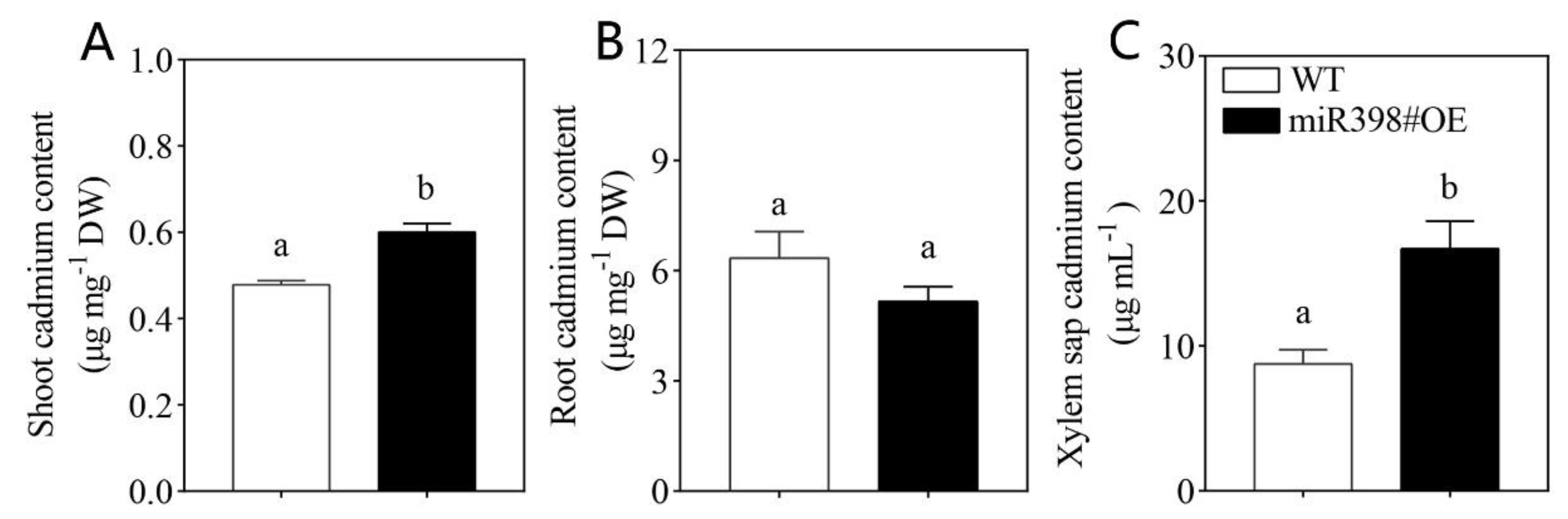 Ijms 24 01953 g004 Ijms 24 01953 g004
