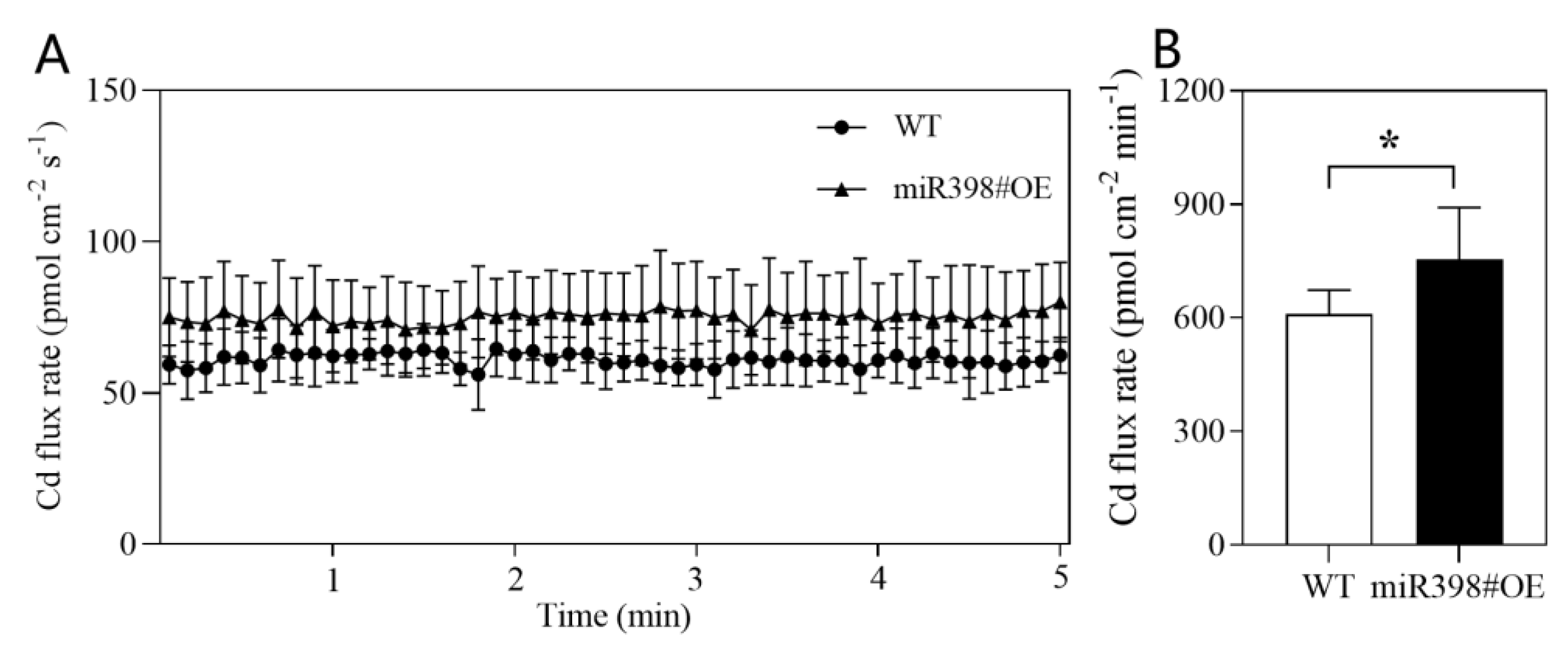 Ijms 24 01953 g005 Ijms 24 01953 g005