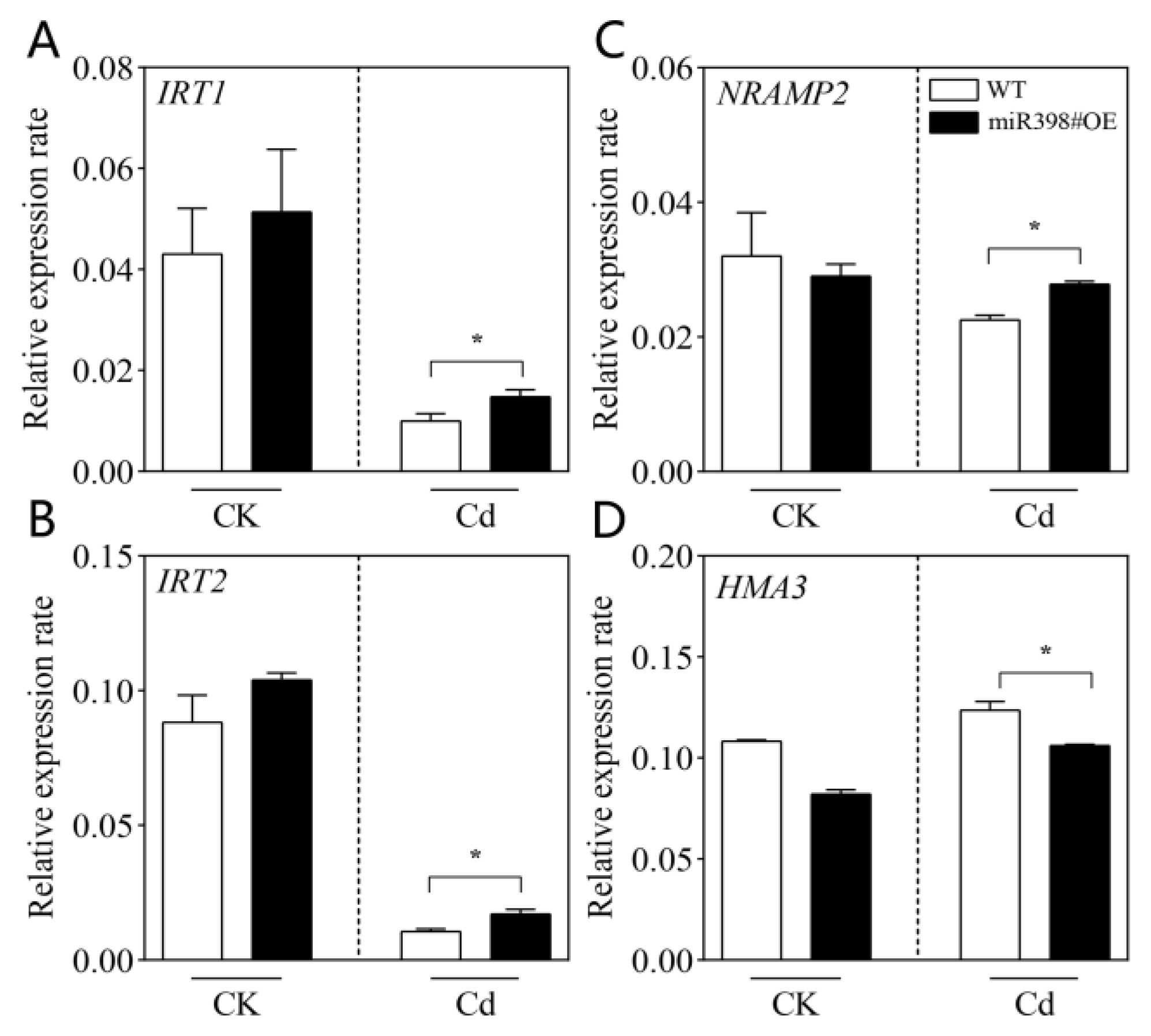 Ijms 24 01953 g006 Ijms 24 01953 g006