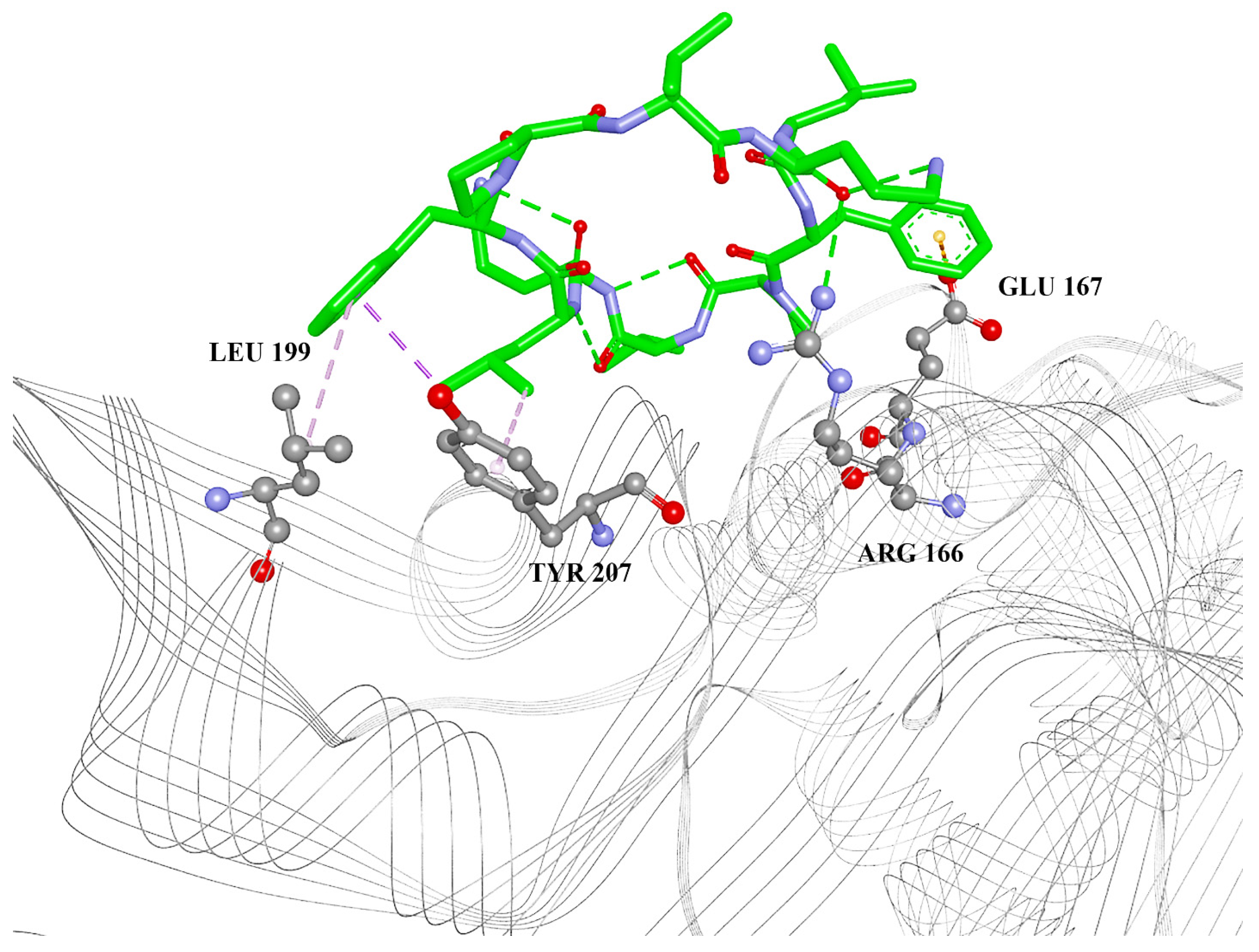 Ijms 24 01955 g002 Ijms 24 01955 g002