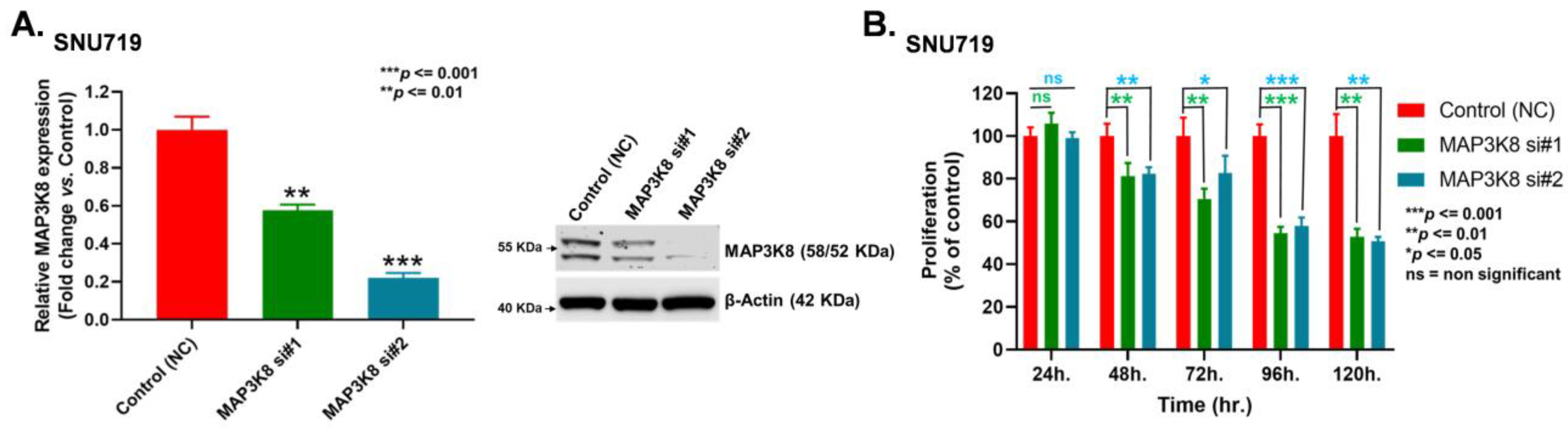 Ijms 24 01964 g003a Ijms 24 01964 g003a
