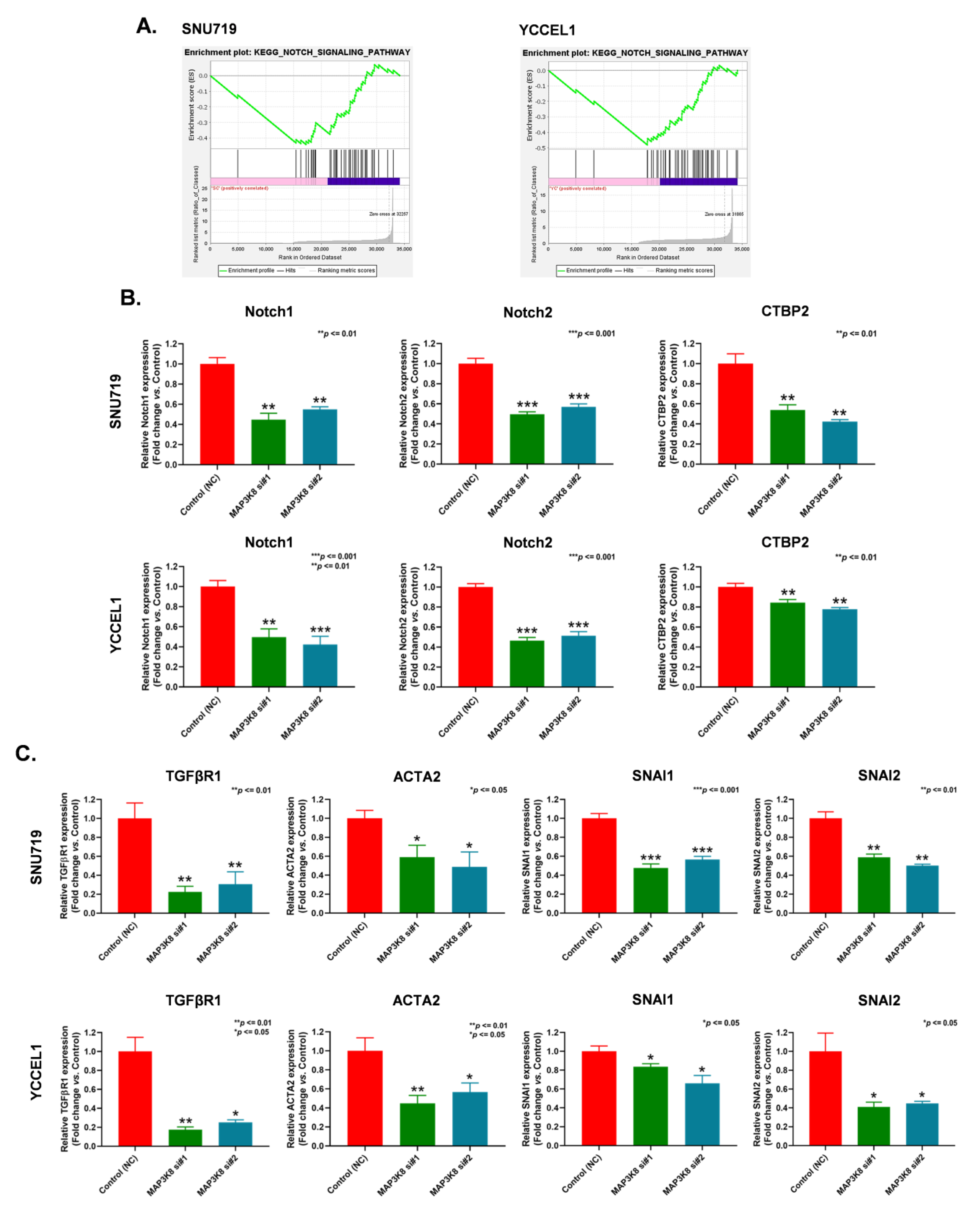 Ijms 24 01964 g004 Ijms 24 01964 g004