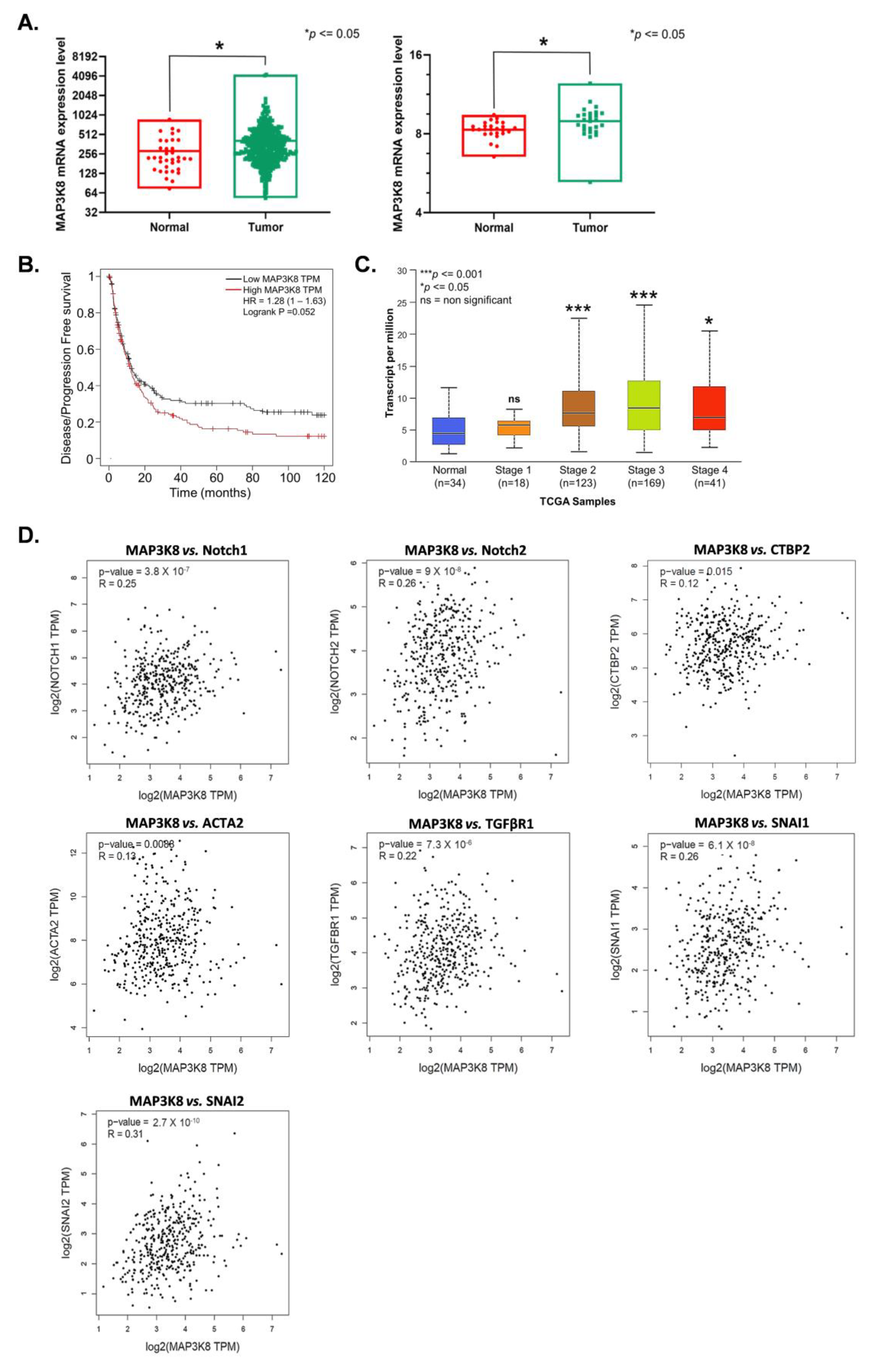 Ijms 24 01964 g005 Ijms 24 01964 g005
