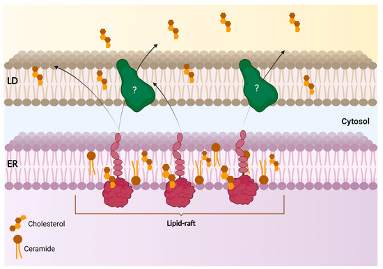 専用　20キロ Non-viral, specifically targeted CAR-T cells achieve high