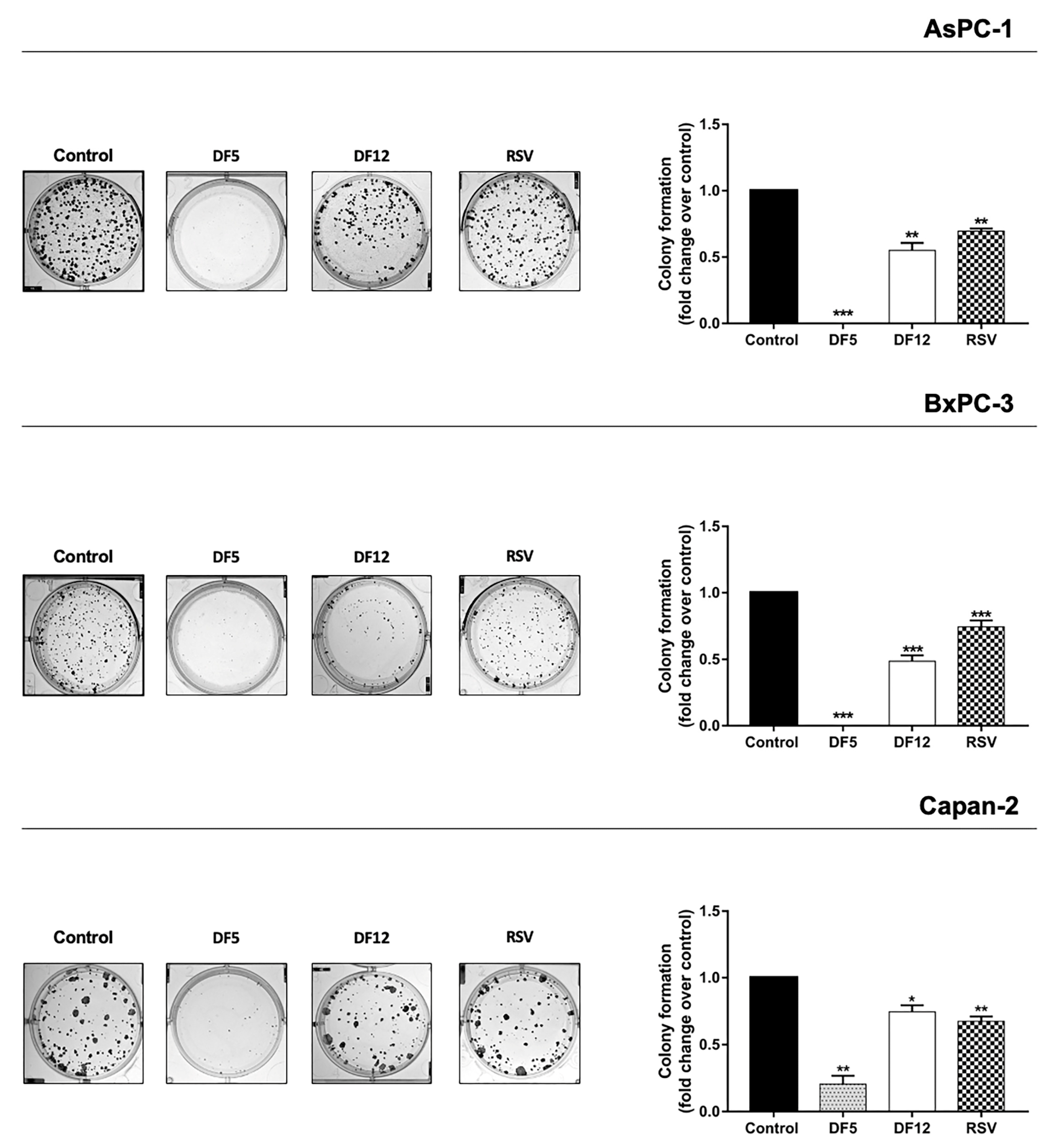 Ijms 24 01977 g003 Ijms 24 01977 g003