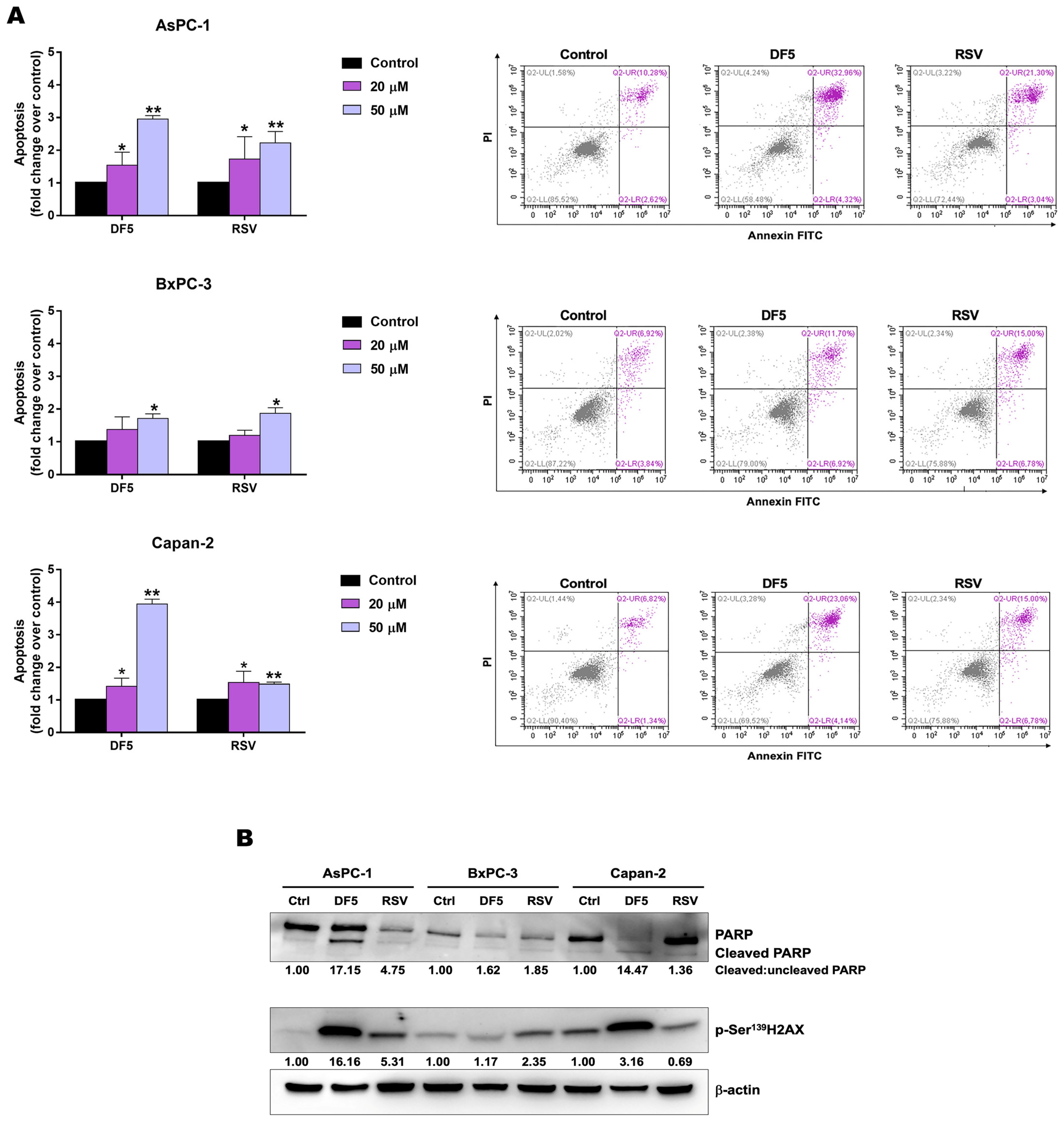 Ijms 24 01977 g007 Ijms 24 01977 g007