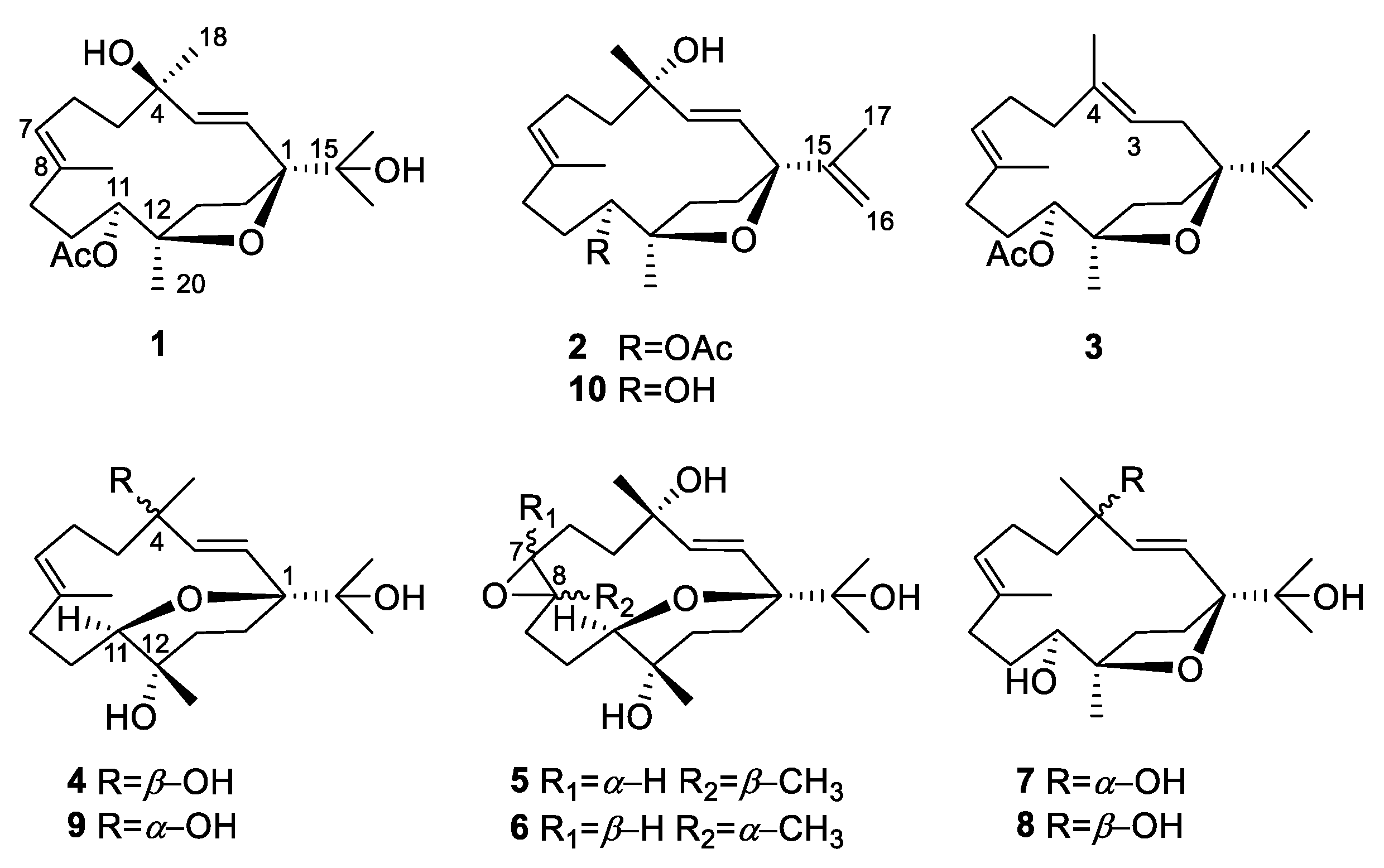 Ijms 24 01979 g001 Ijms 24 01979 g001