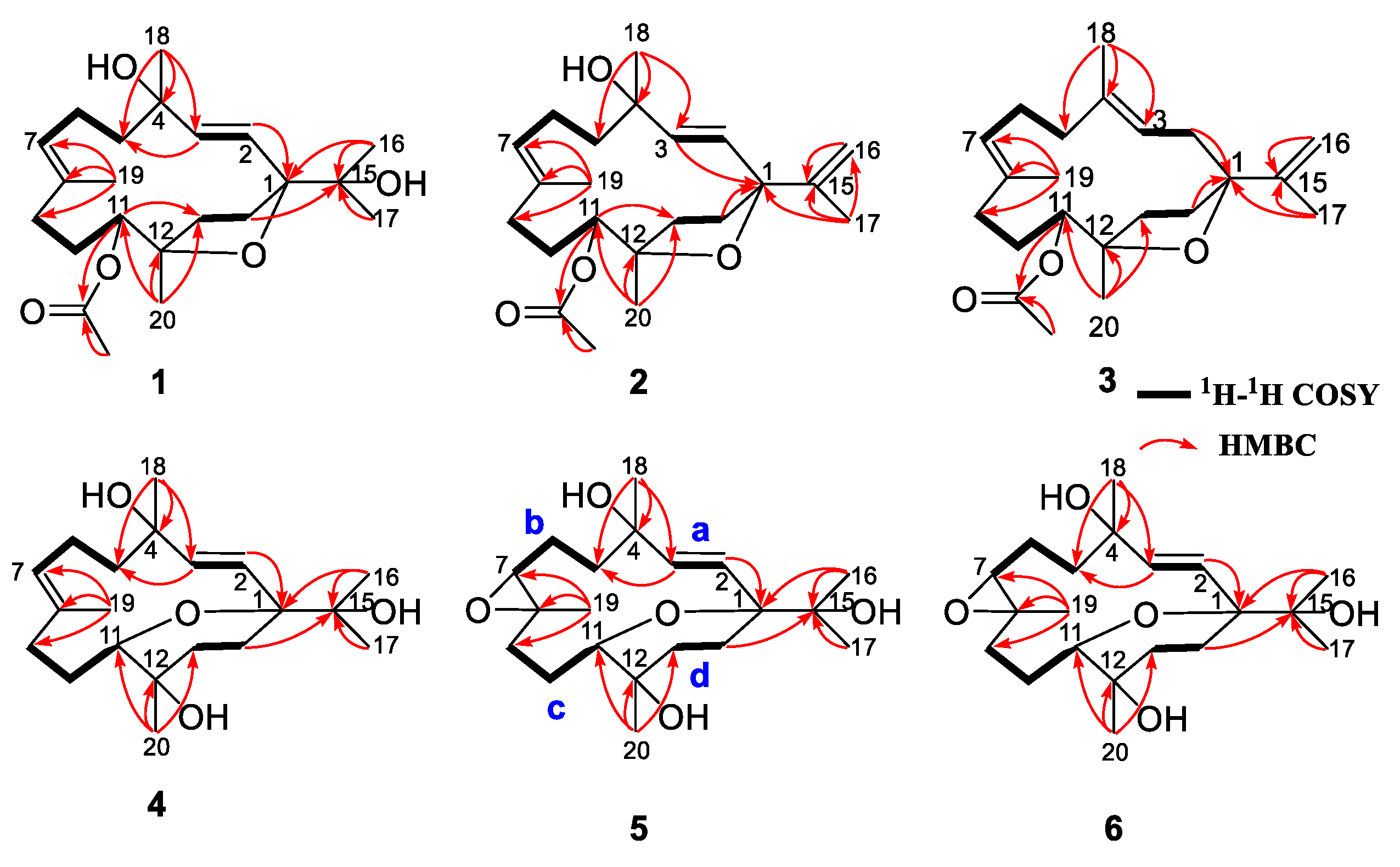 Ijms 24 01979 g003 Ijms 24 01979 g003