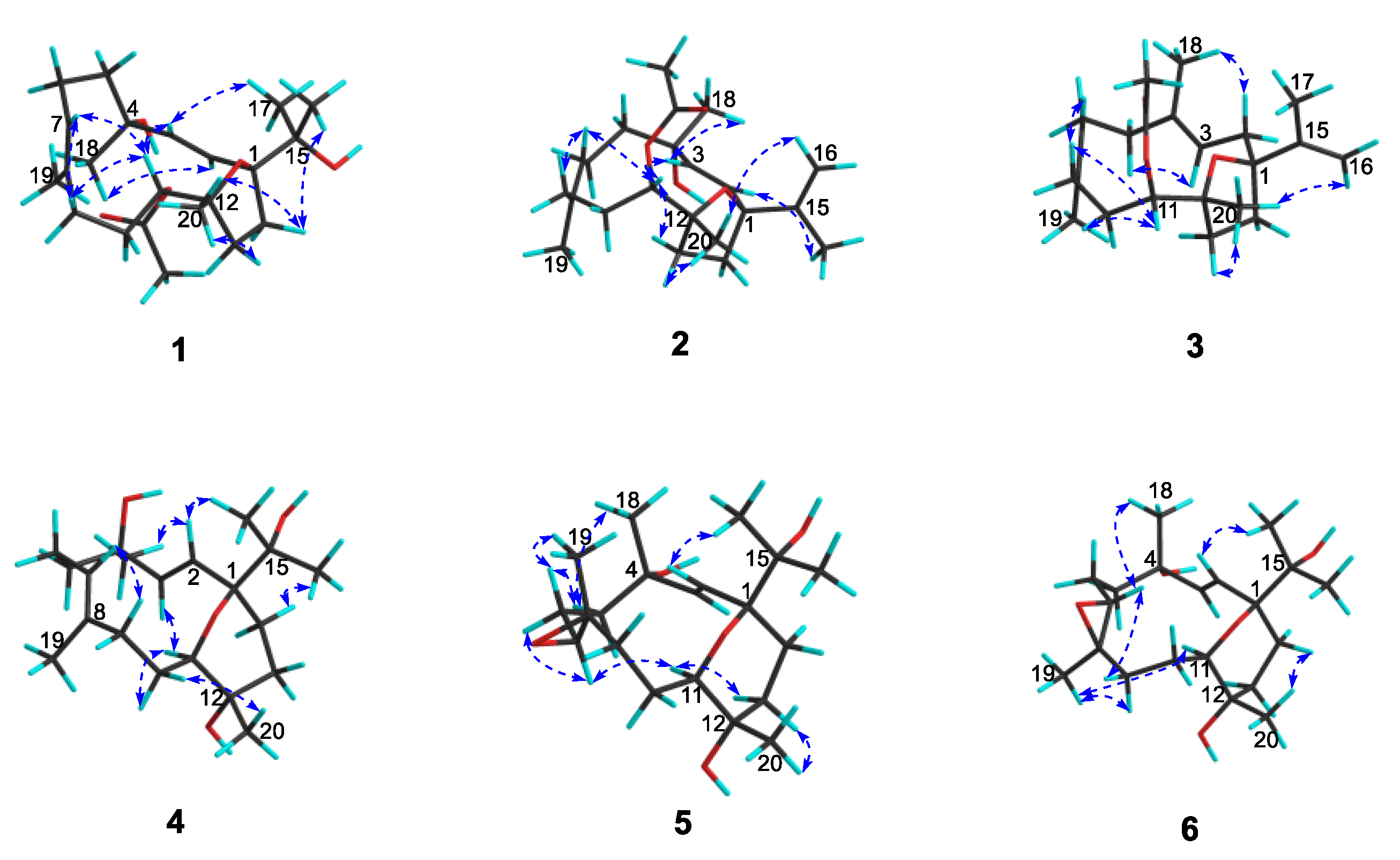 Ijms 24 01979 g004 Ijms 24 01979 g004