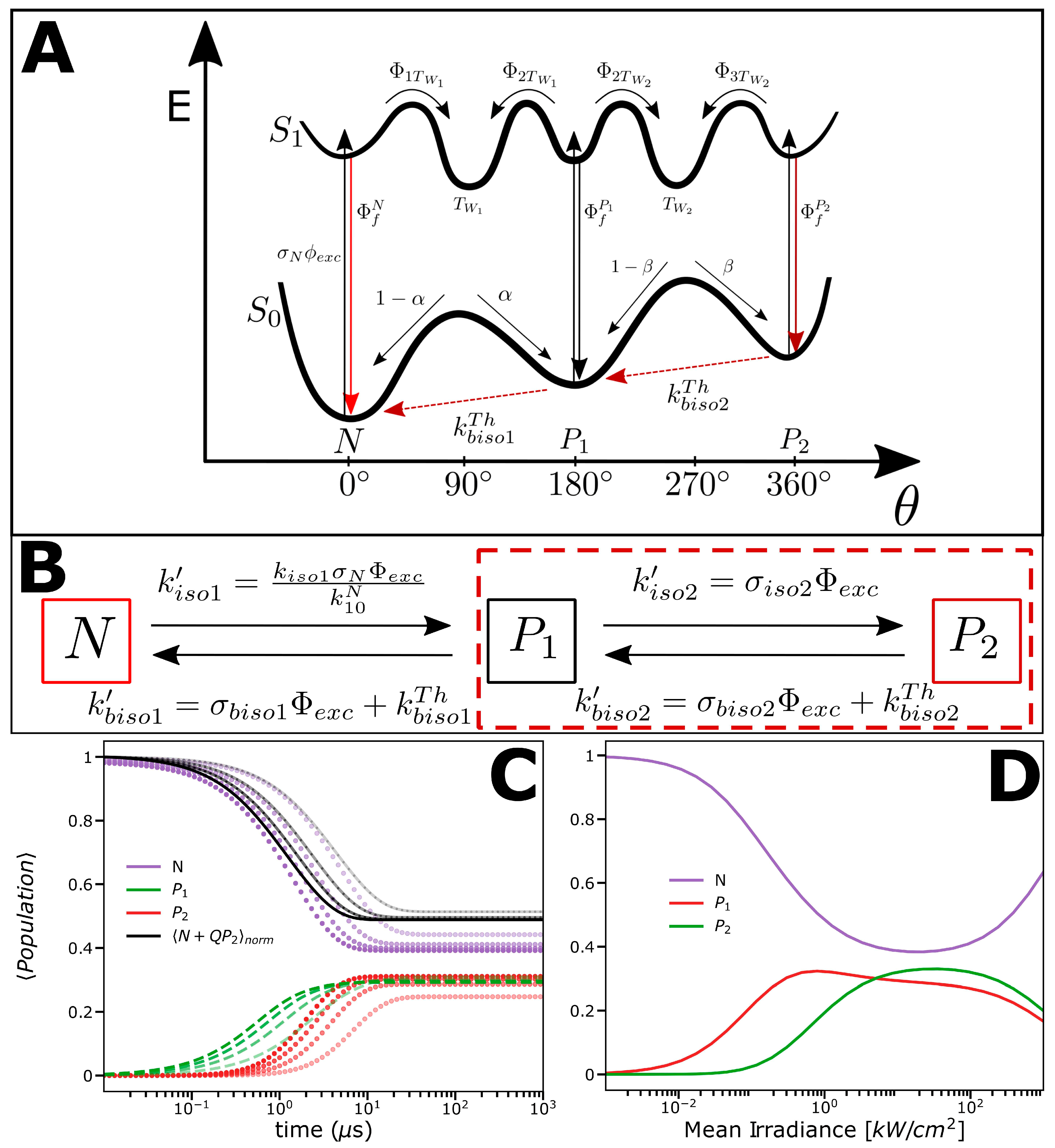 Ijms 24 01990 g004 Ijms 24 01990 g004