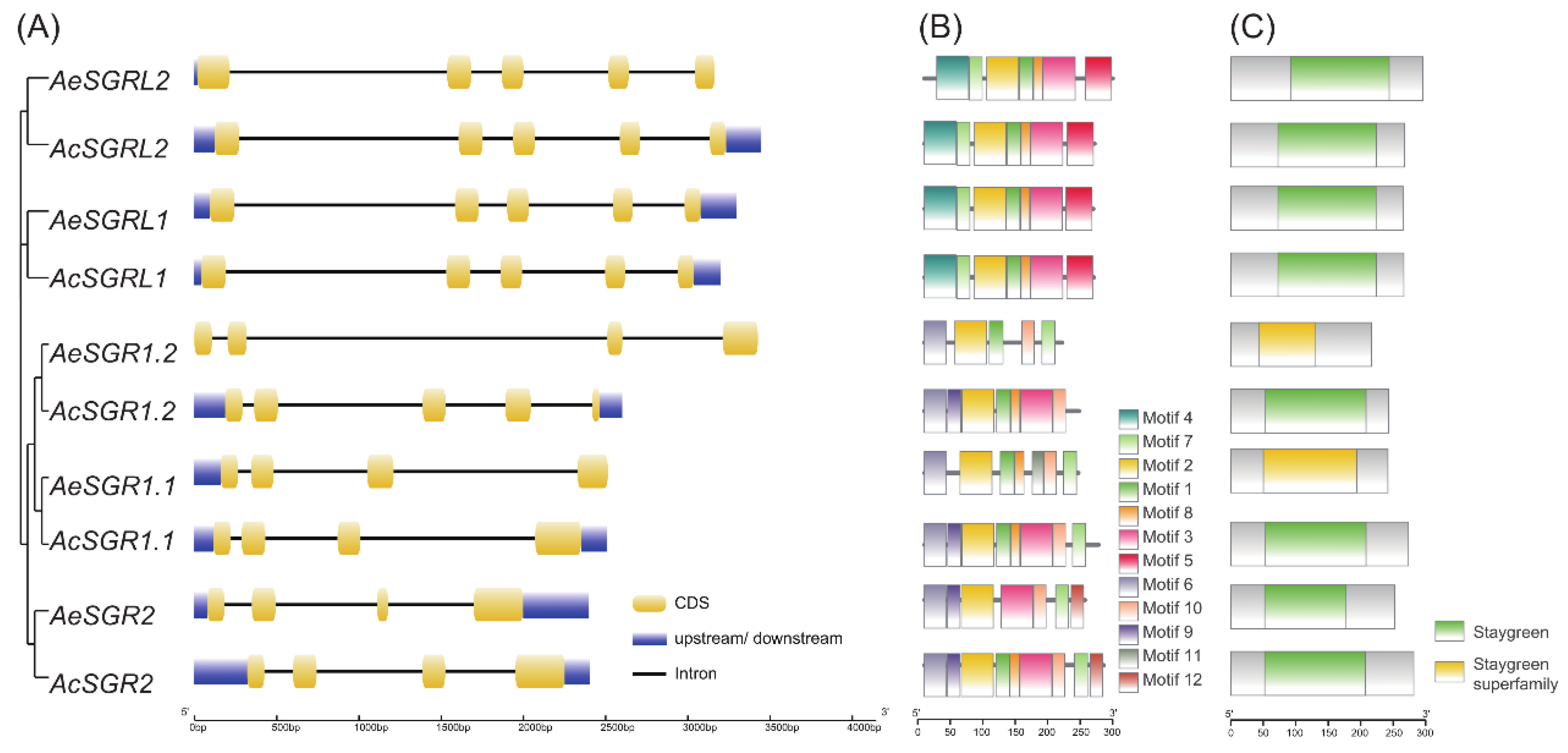 Ijms 24 01993 g002 Ijms 24 01993 g002