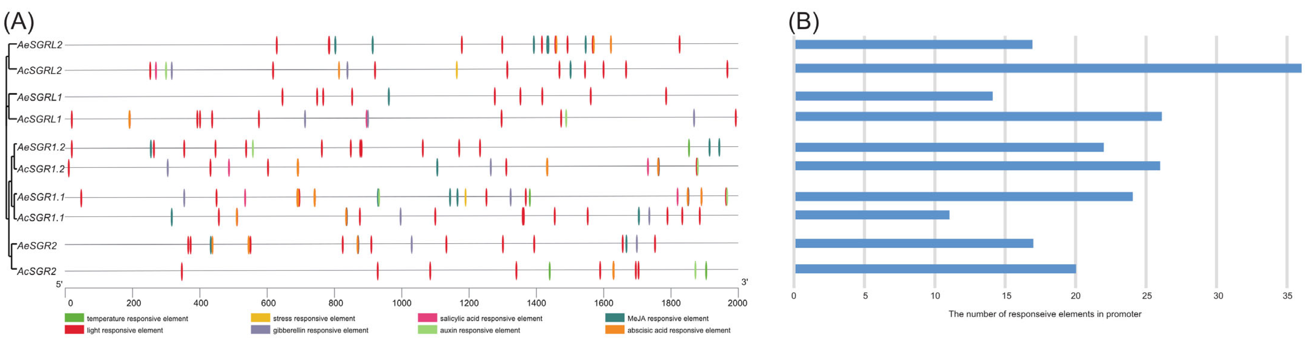 Ijms 24 01993 g003 Ijms 24 01993 g003