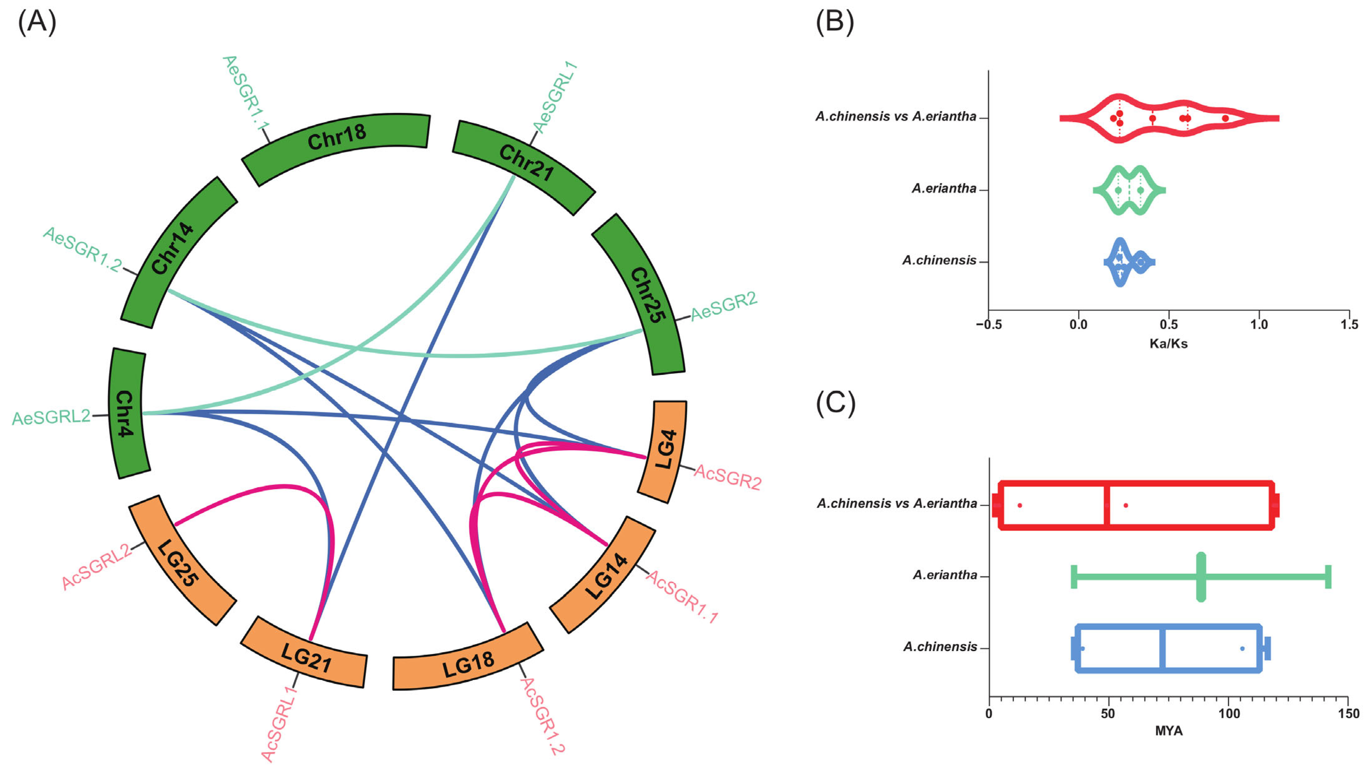Ijms 24 01993 g004 Ijms 24 01993 g004