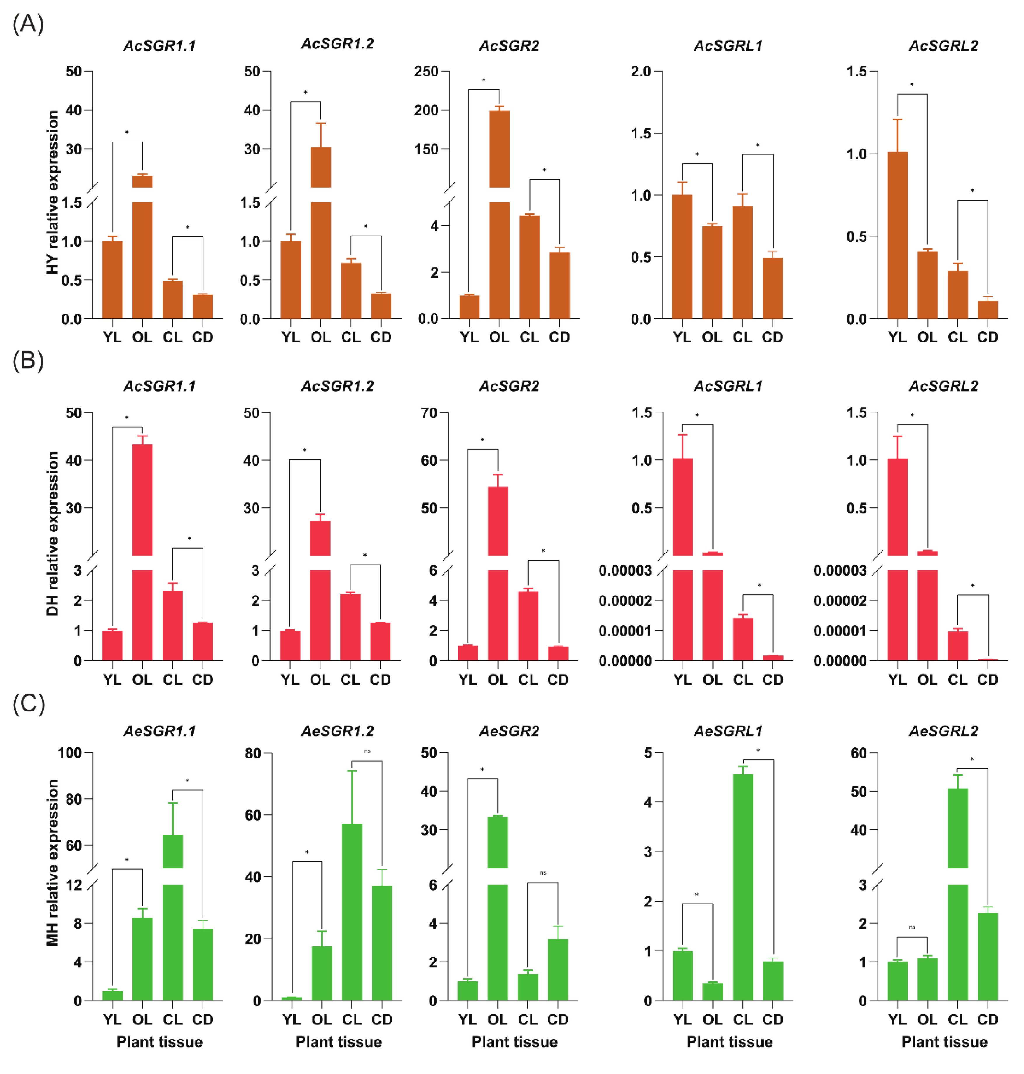 Ijms 24 01993 g006 Ijms 24 01993 g006