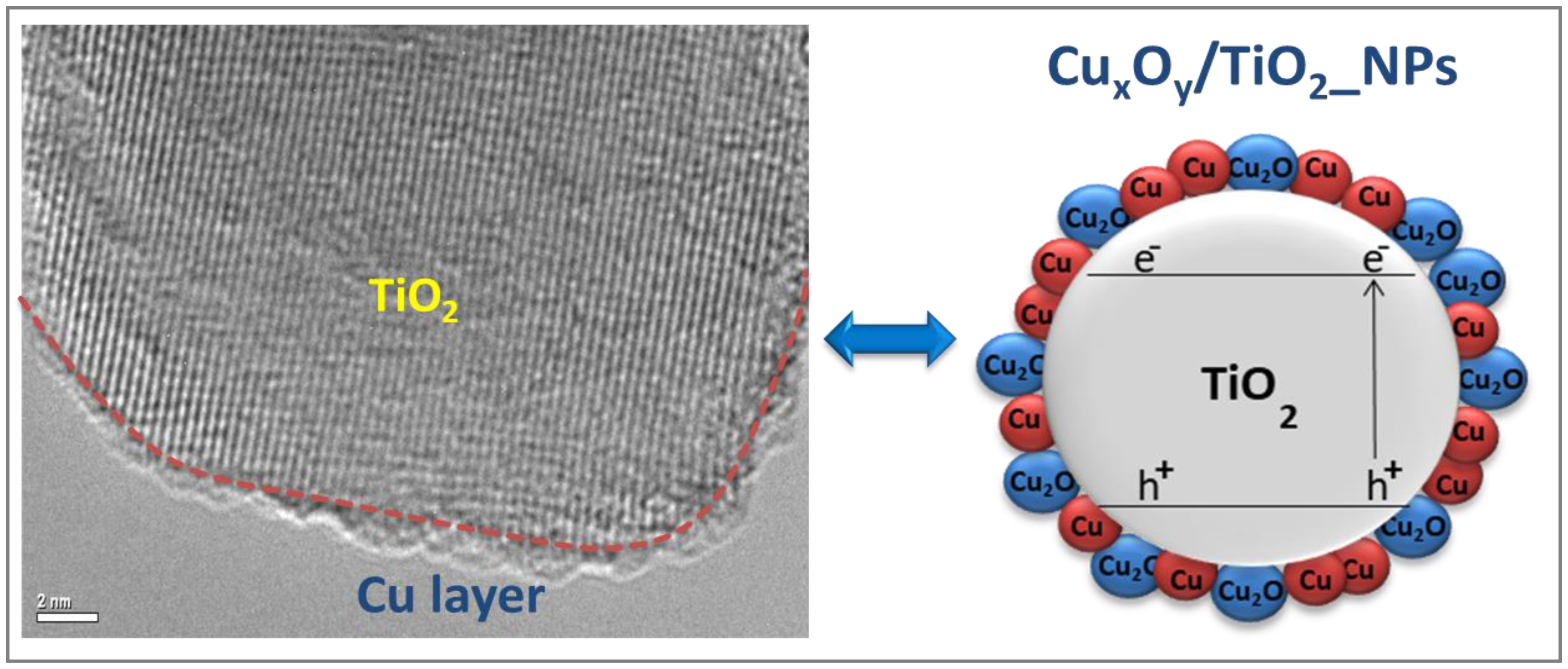 Ijms 24 02004 g002 Ijms 24 02004 g002