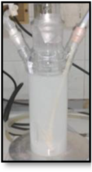 Ijms 24 02004 i001 Ijms 24 02004 i001