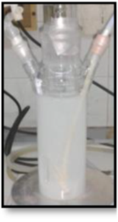 Ijms 24 02004 i003 Ijms 24 02004 i003