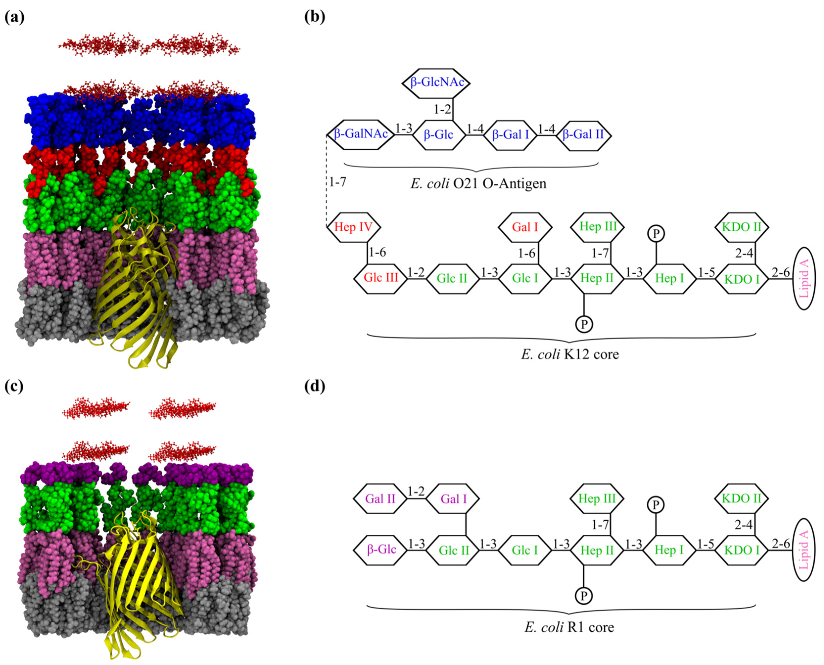 Ijms 24 02005 g001 Ijms 24 02005 g001