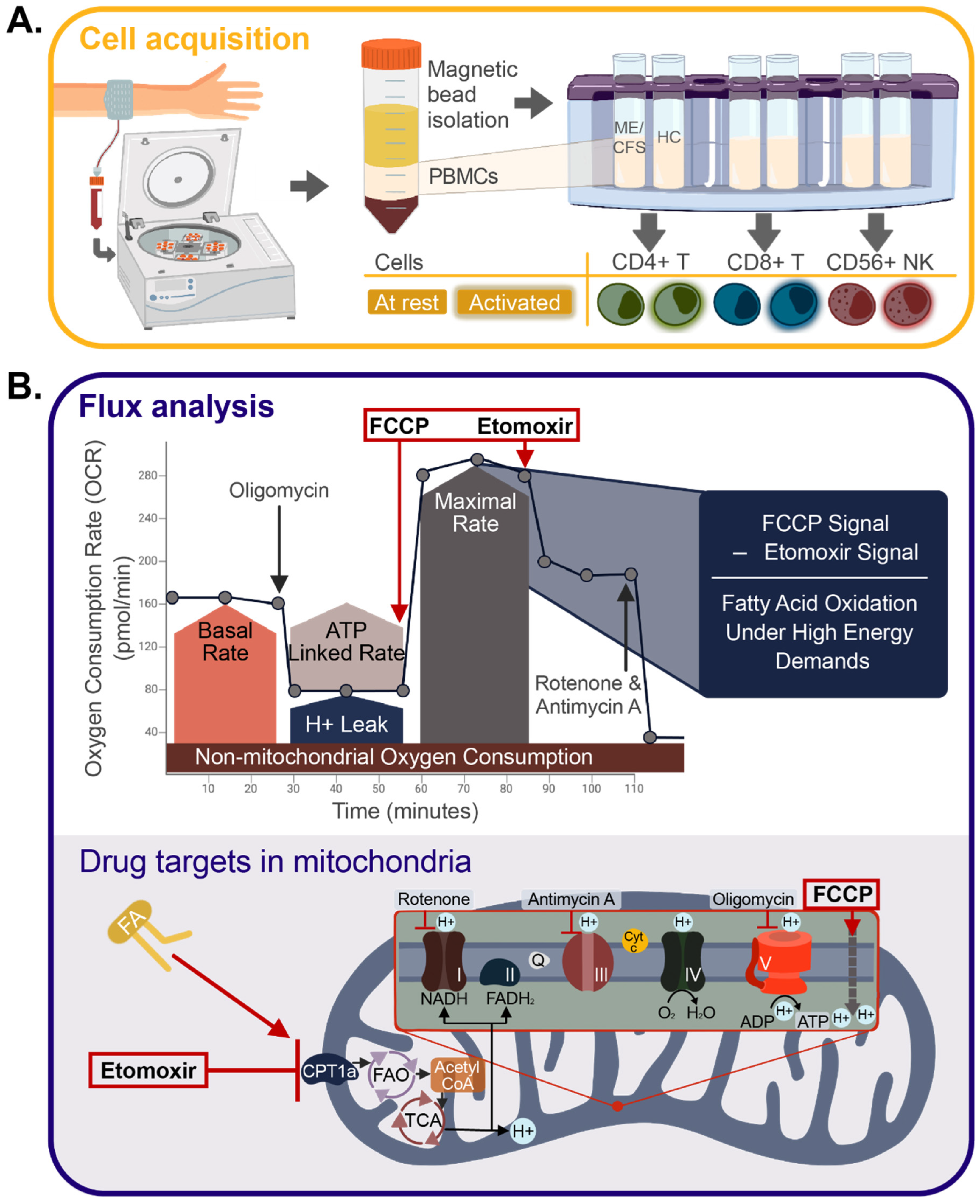 Ijms 24 02010 g001 Ijms 24 02010 g001