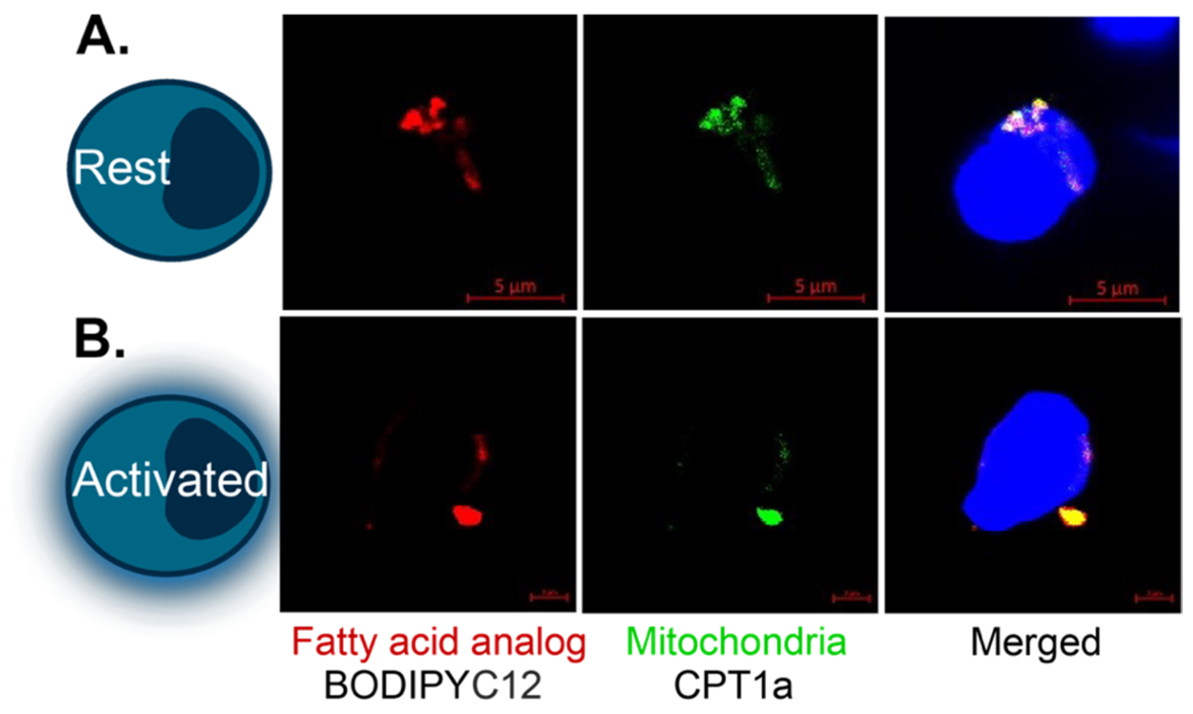 Ijms 24 02010 g002 Ijms 24 02010 g002