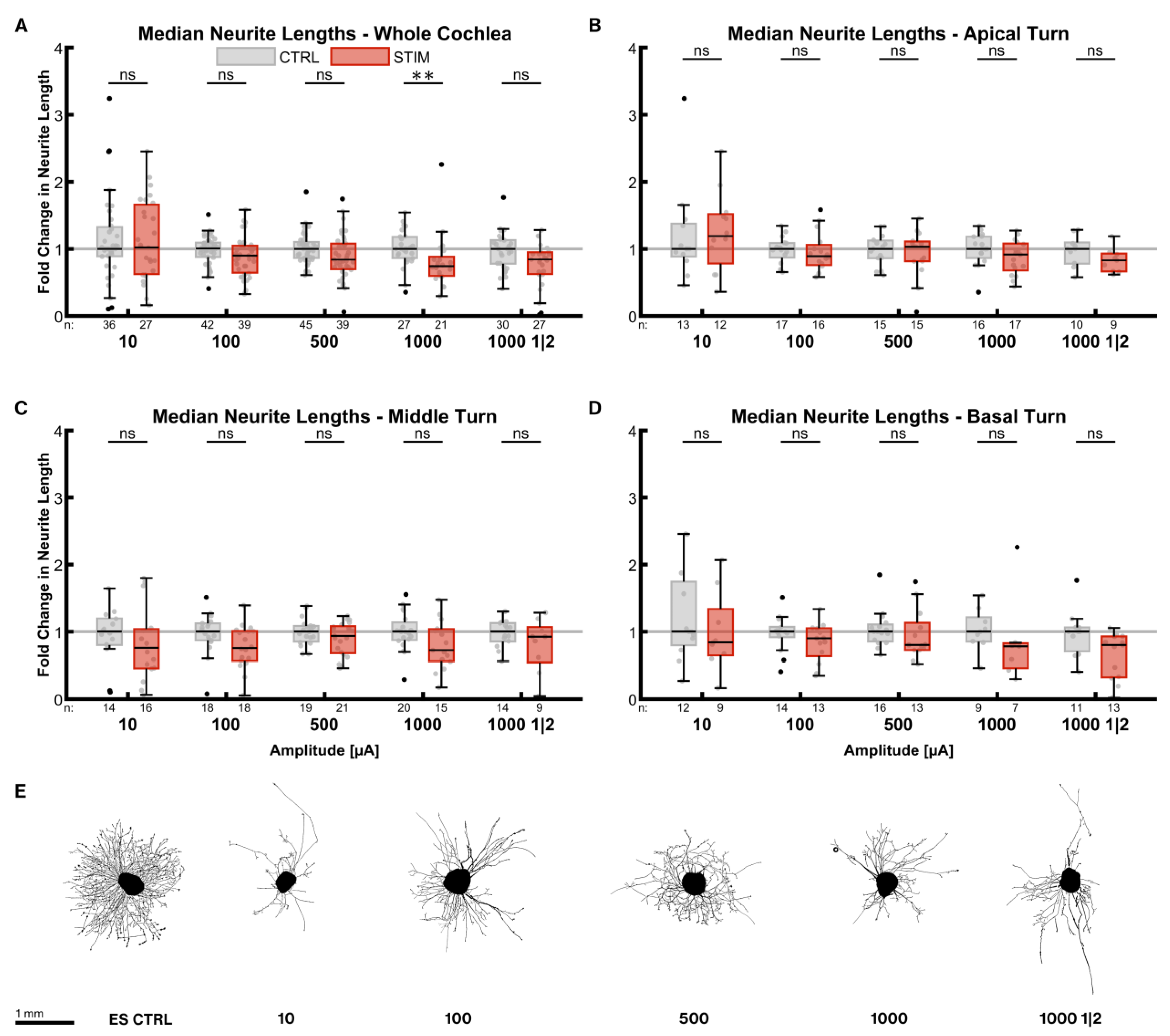 Ijms 24 02013 g004 Ijms 24 02013 g004