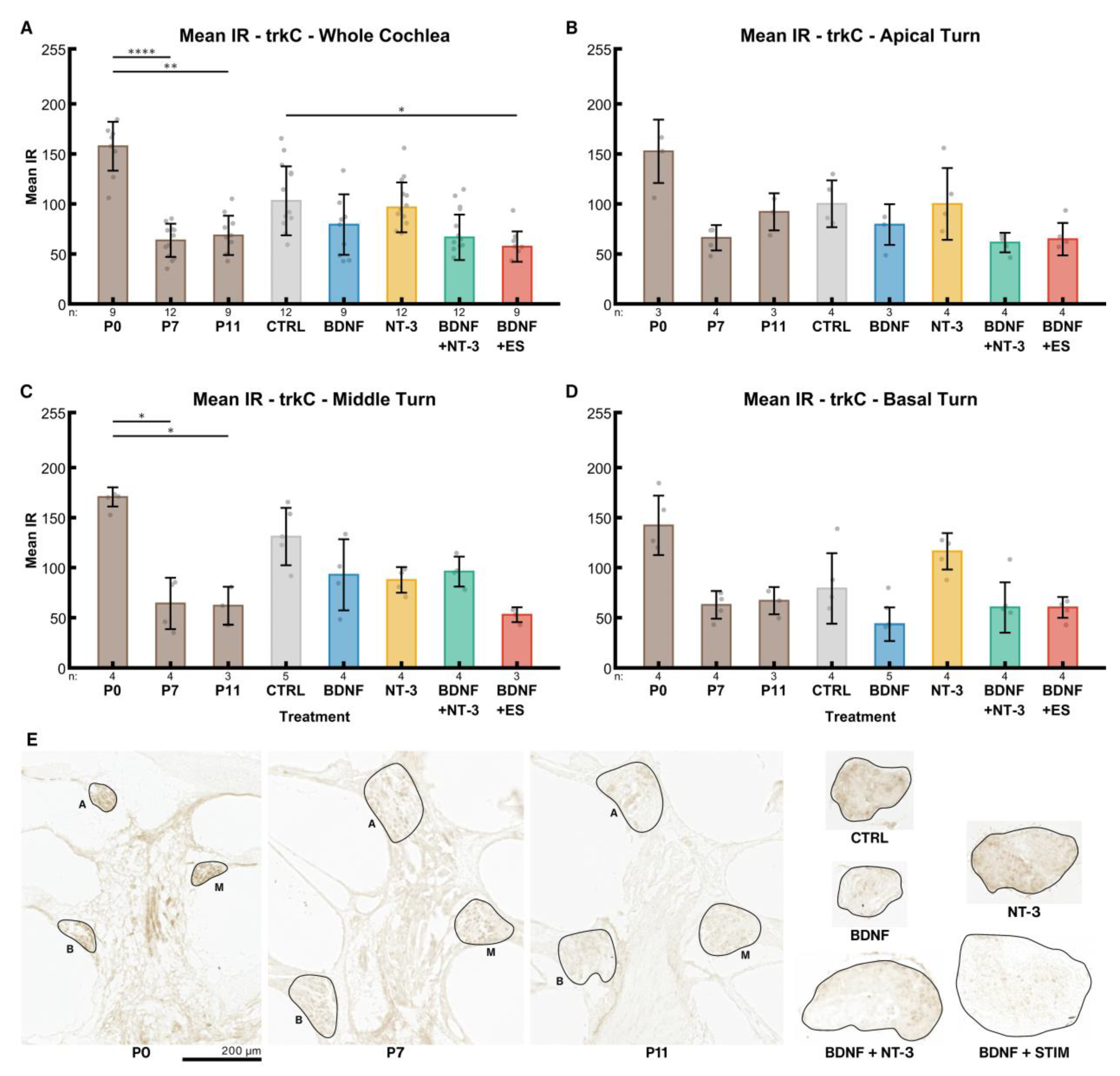 Ijms 24 02013 g007 Ijms 24 02013 g007