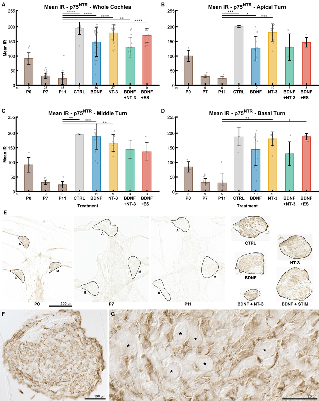 Ijms 24 02013 g008 Ijms 24 02013 g008