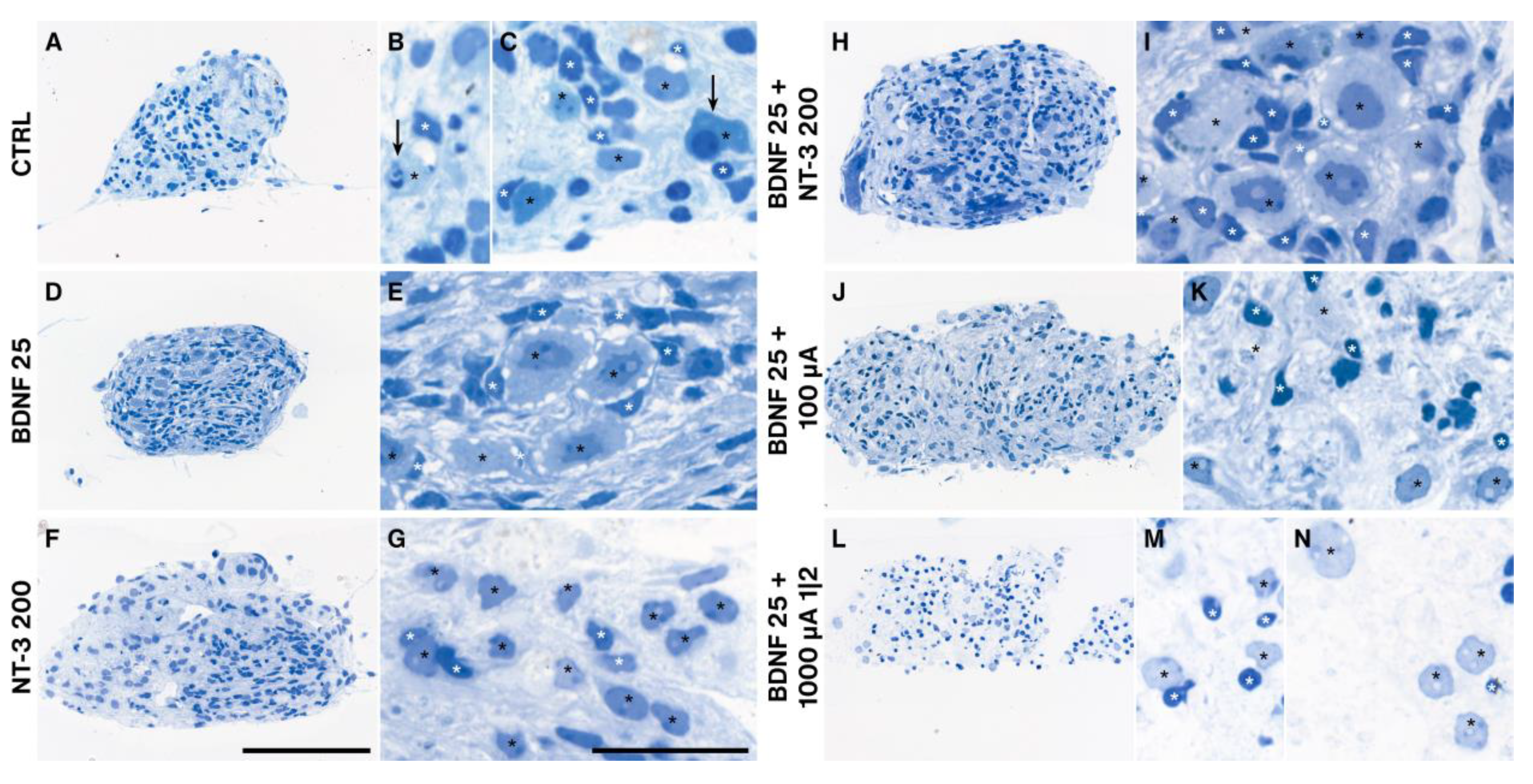 Ijms 24 02013 g009 Ijms 24 02013 g009