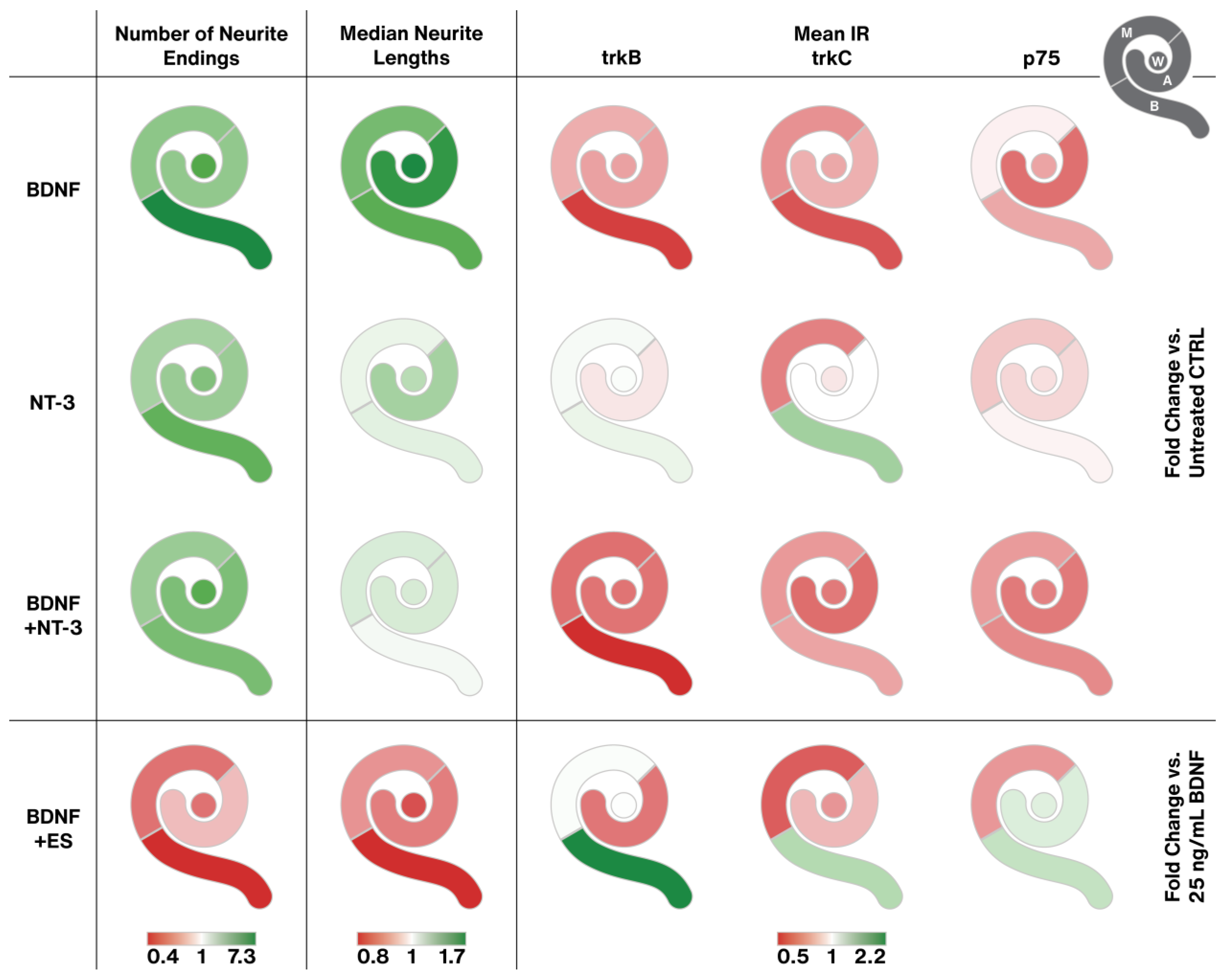 Ijms 24 02013 g010 Ijms 24 02013 g010