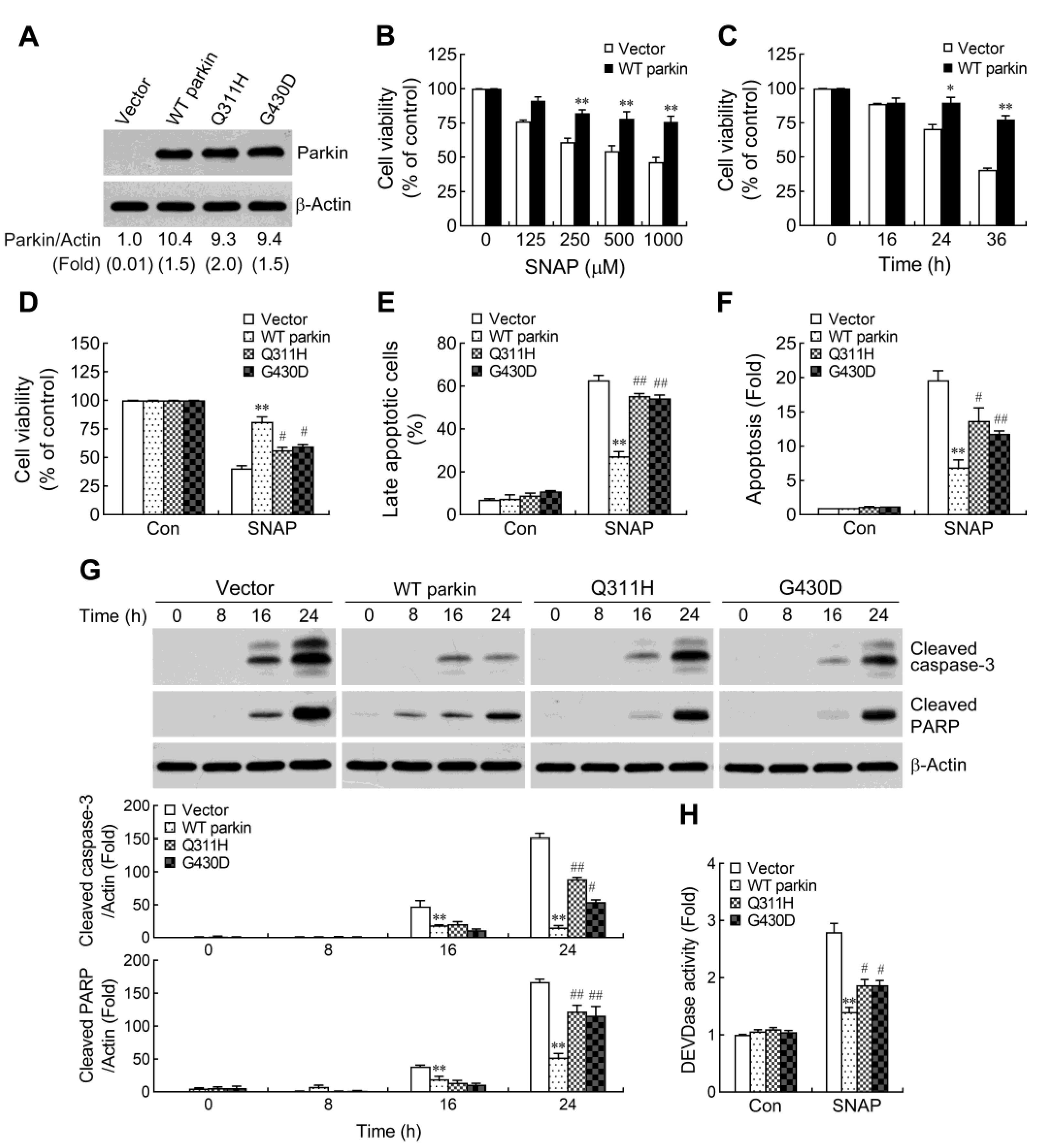 Ijms 24 02017 g001 Ijms 24 02017 g001
