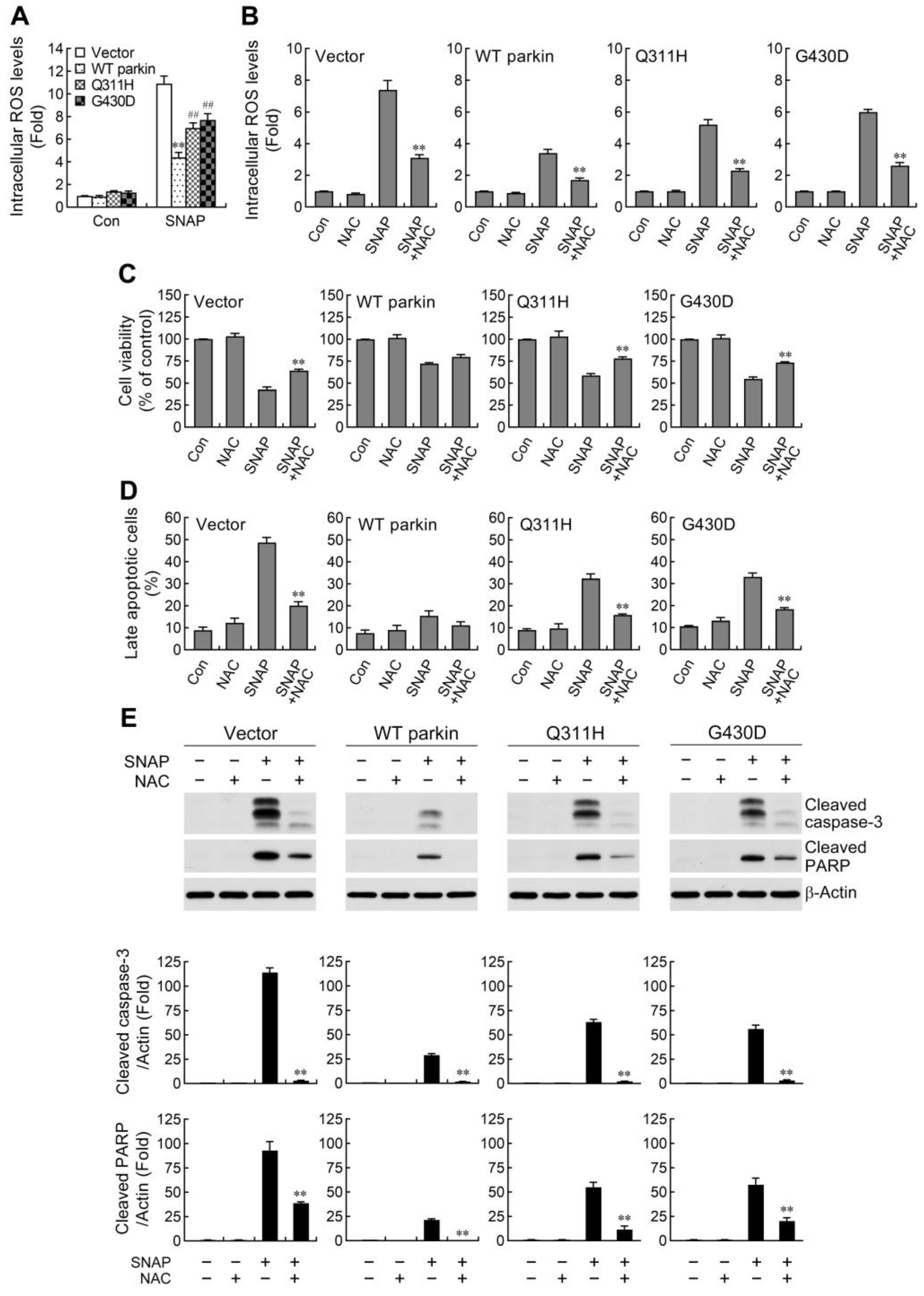 Ijms 24 02017 g002 Ijms 24 02017 g002