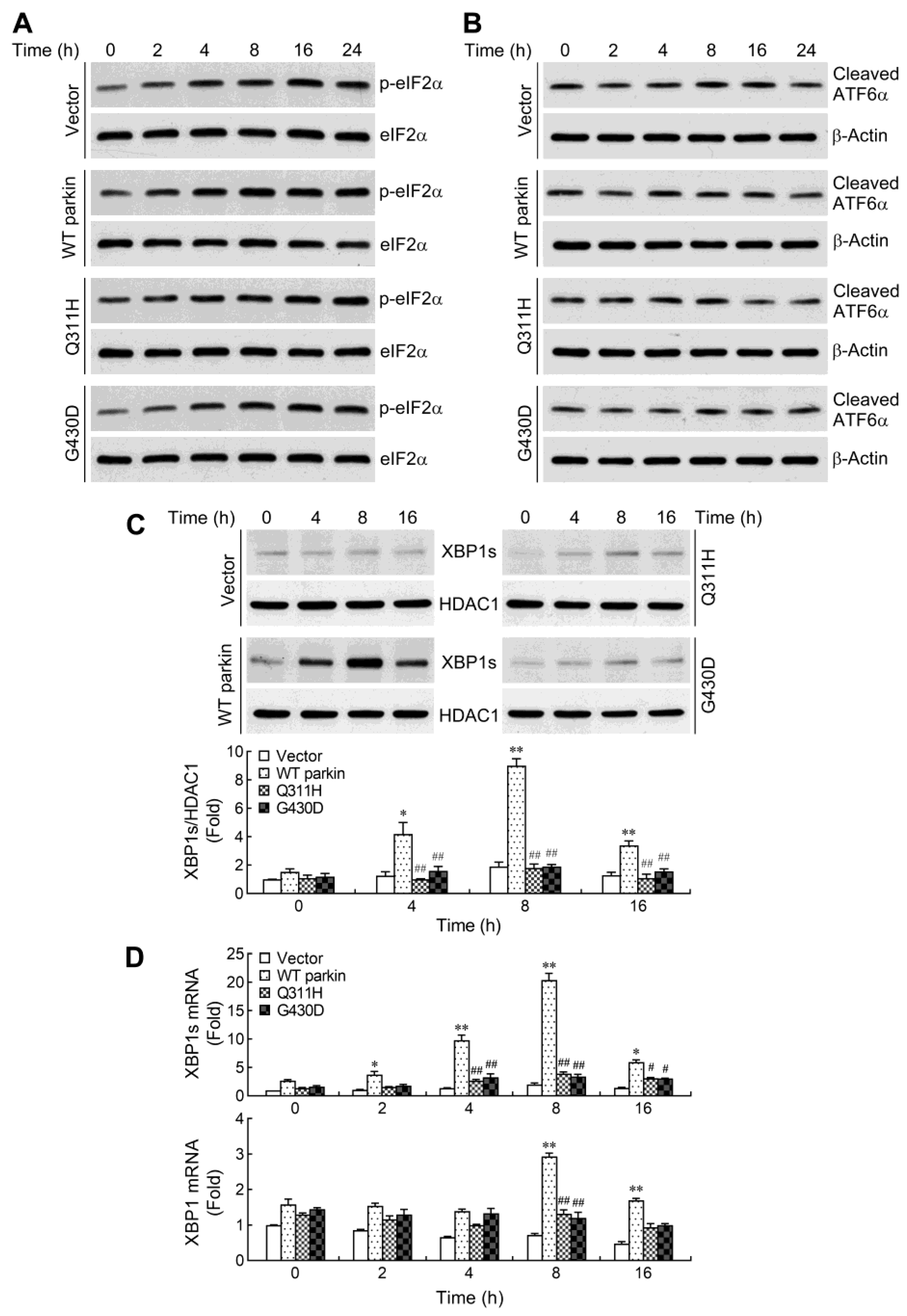 Ijms 24 02017 g003 Ijms 24 02017 g003