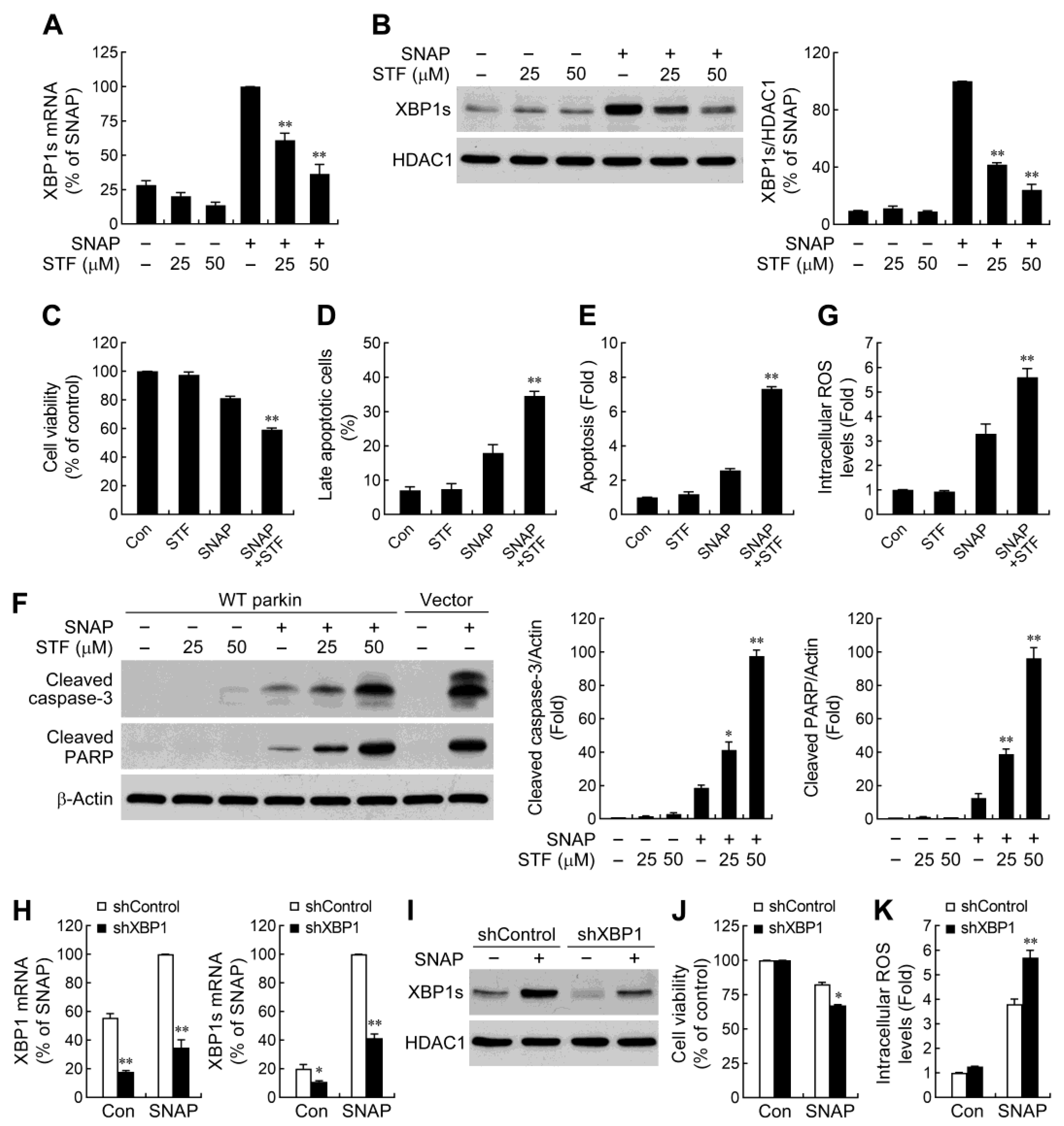 Ijms 24 02017 g004 Ijms 24 02017 g004