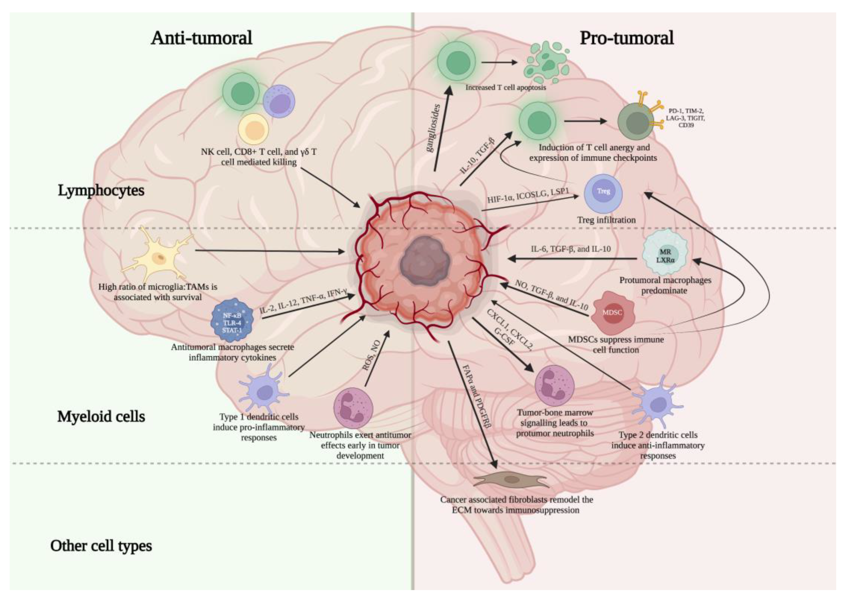 Illustration of the SAH classification categories from Nayak et al