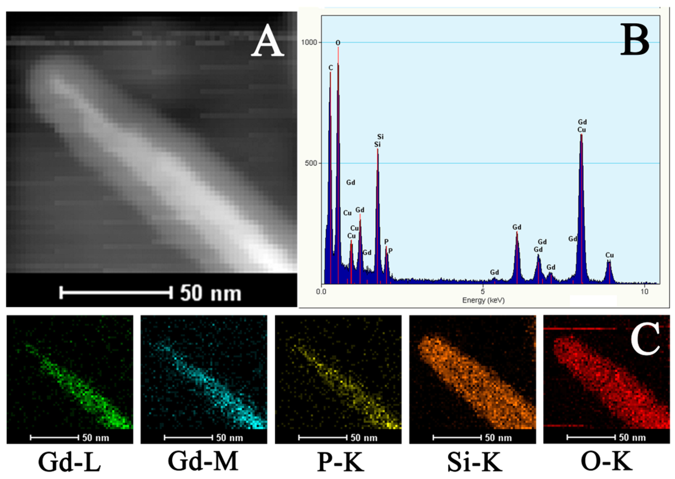 Ijms 24 02032 g003 Ijms 24 02032 g003