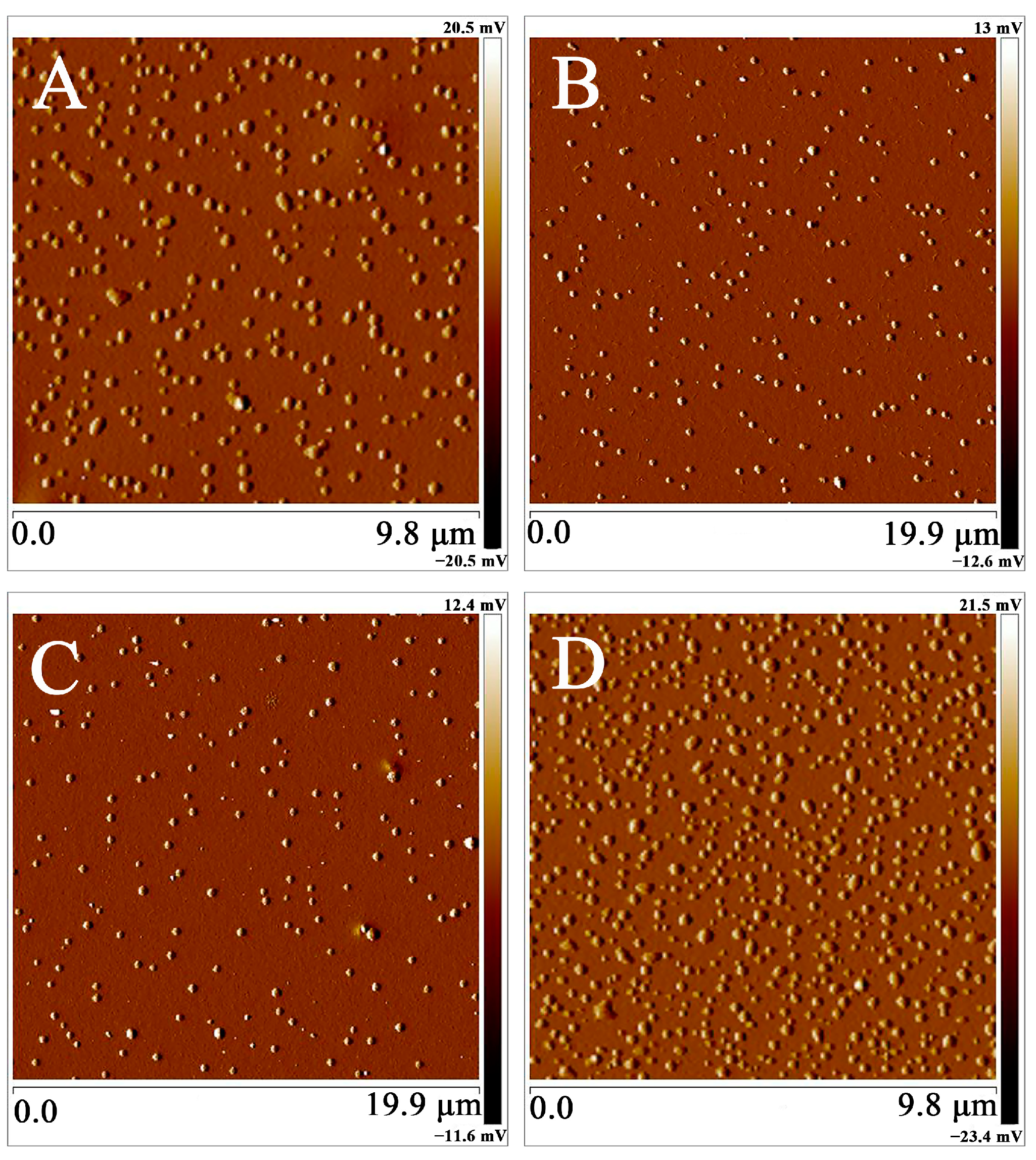 Ijms 24 02032 g008 Ijms 24 02032 g008