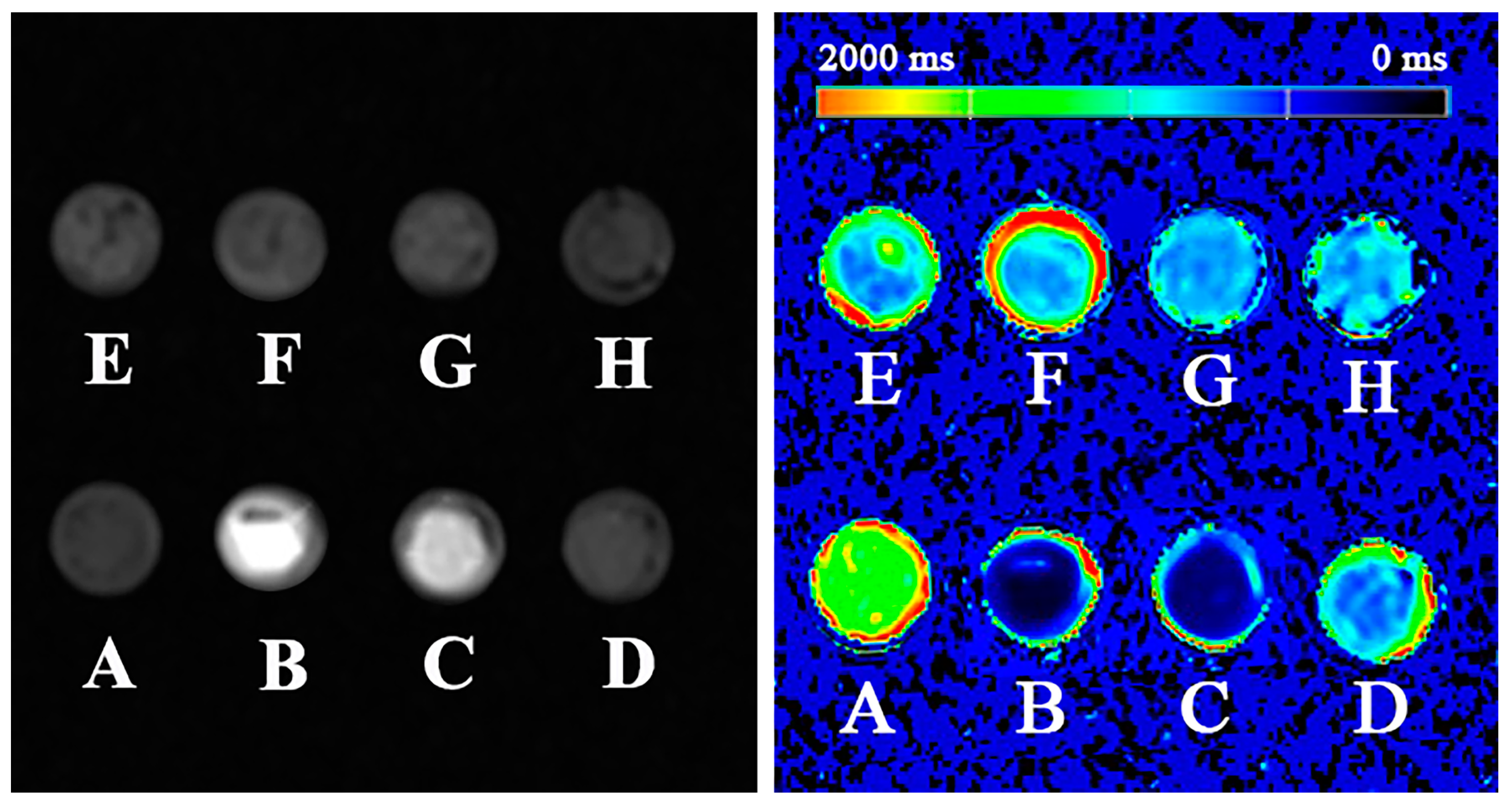 Ijms 24 02032 g009 Ijms 24 02032 g009