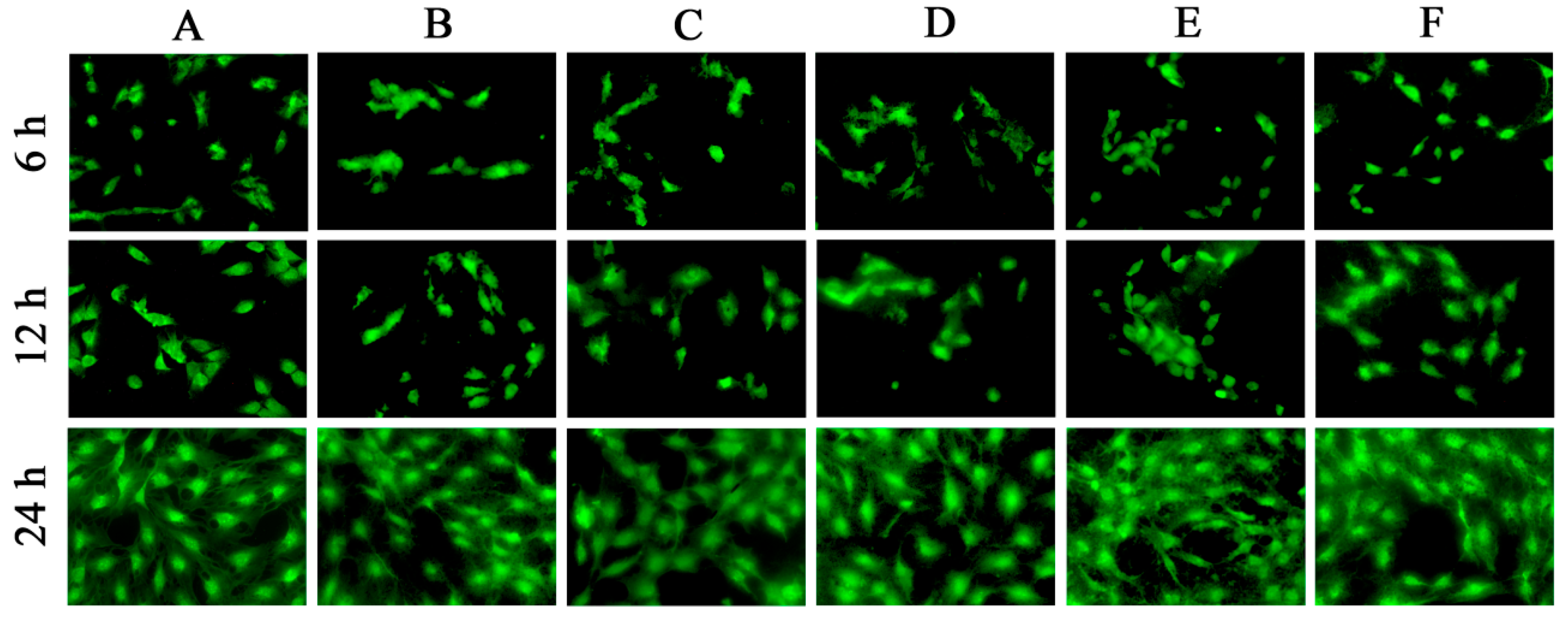 Ijms 24 02032 g011 Ijms 24 02032 g011