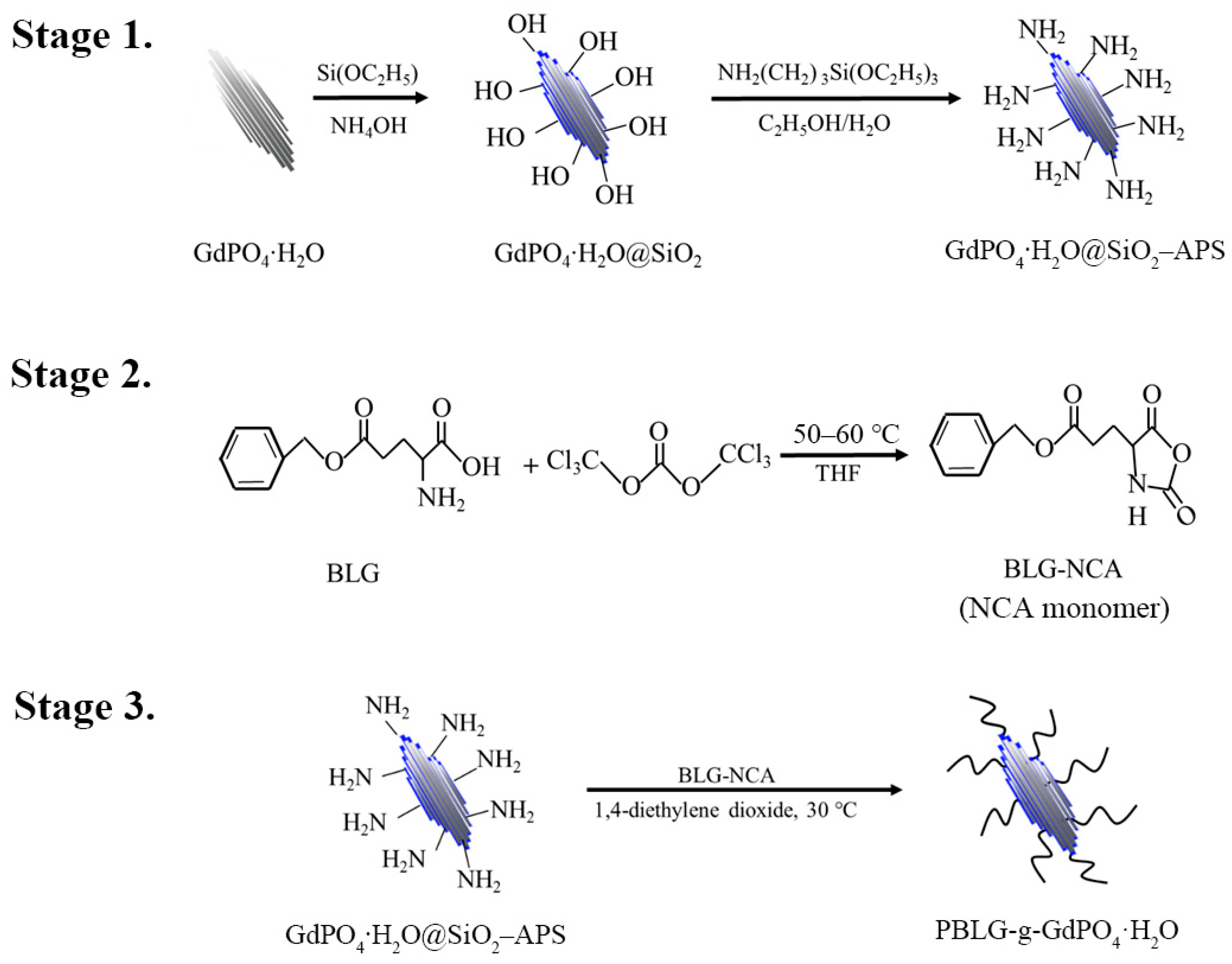 Ijms 24 02032 sch001 Ijms 24 02032 sch001