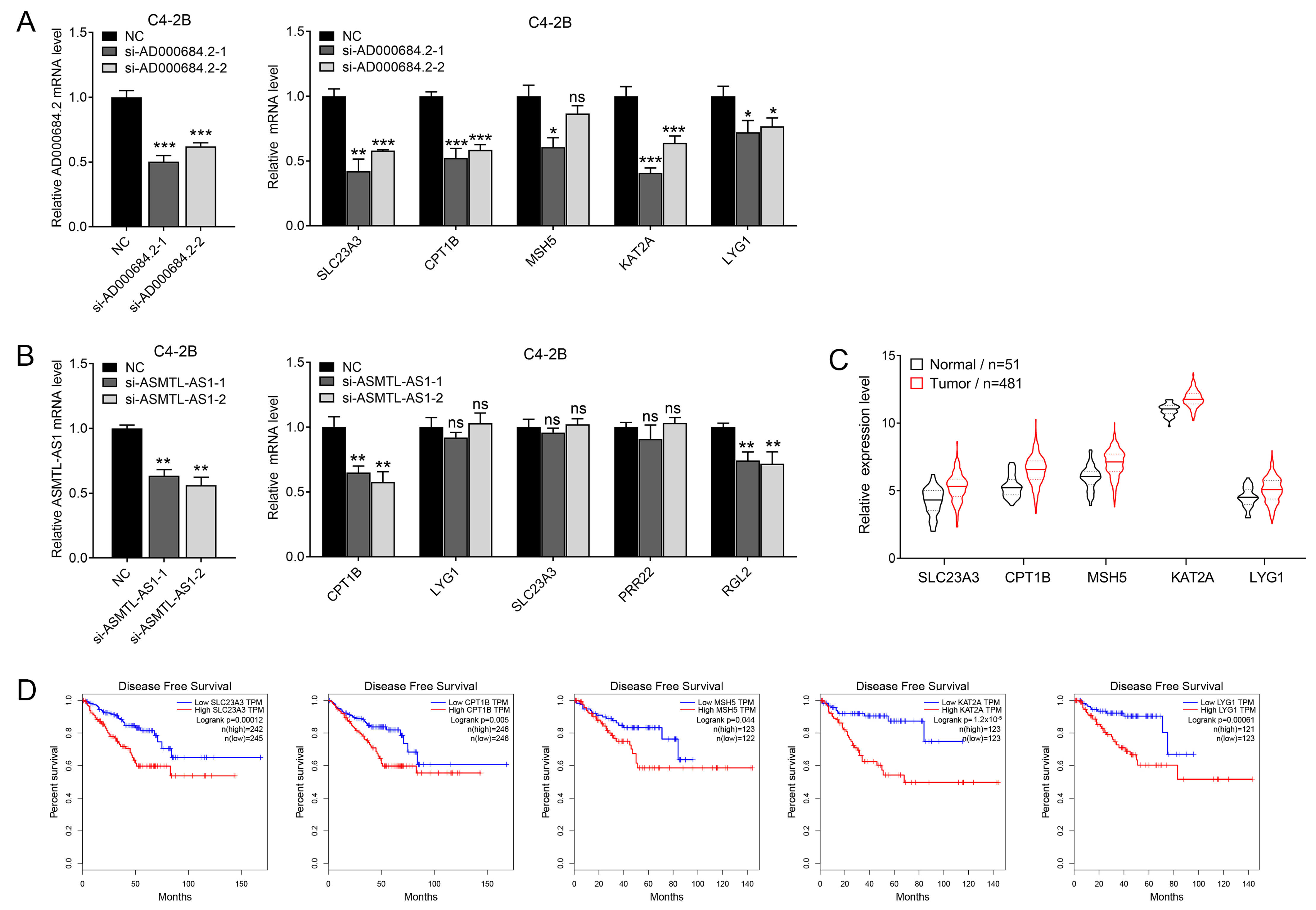 Ijms 24 02035 g003 Ijms 24 02035 g003