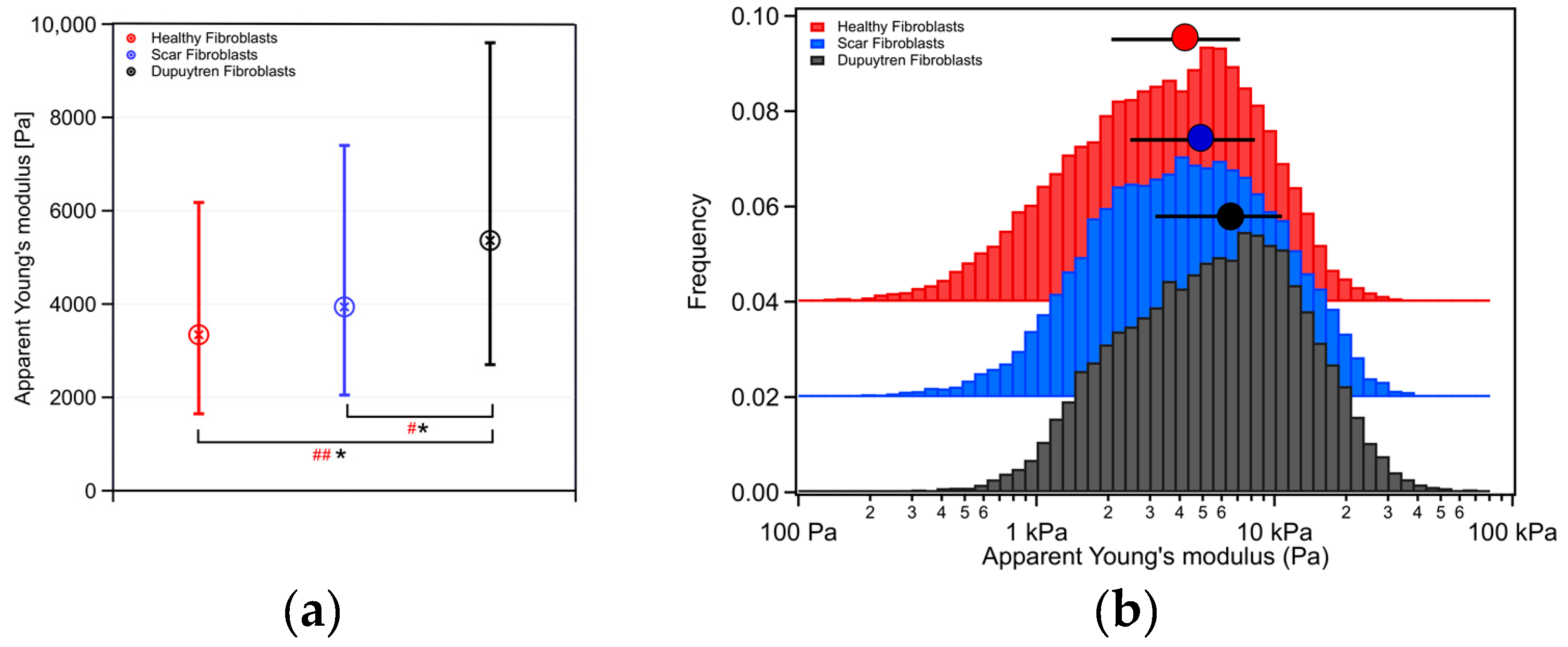Ijms 24 02043 g001 Ijms 24 02043 g001