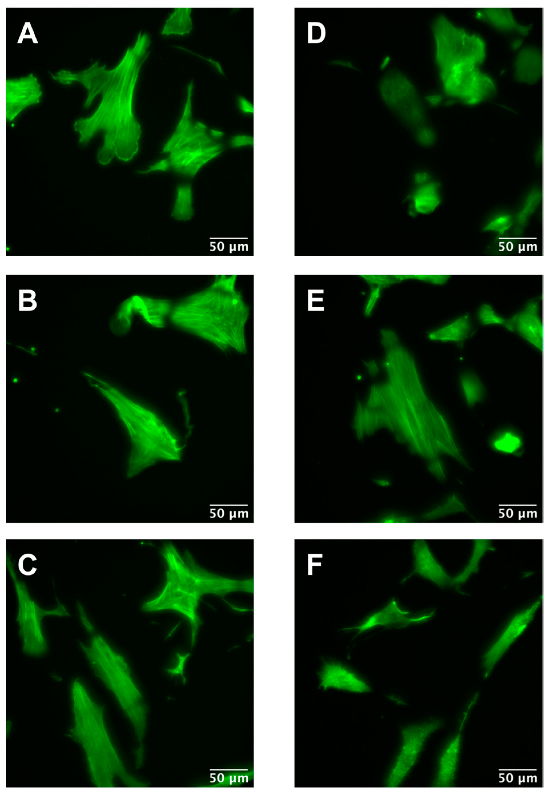 Ijms 24 02043 g008 Ijms 24 02043 g008