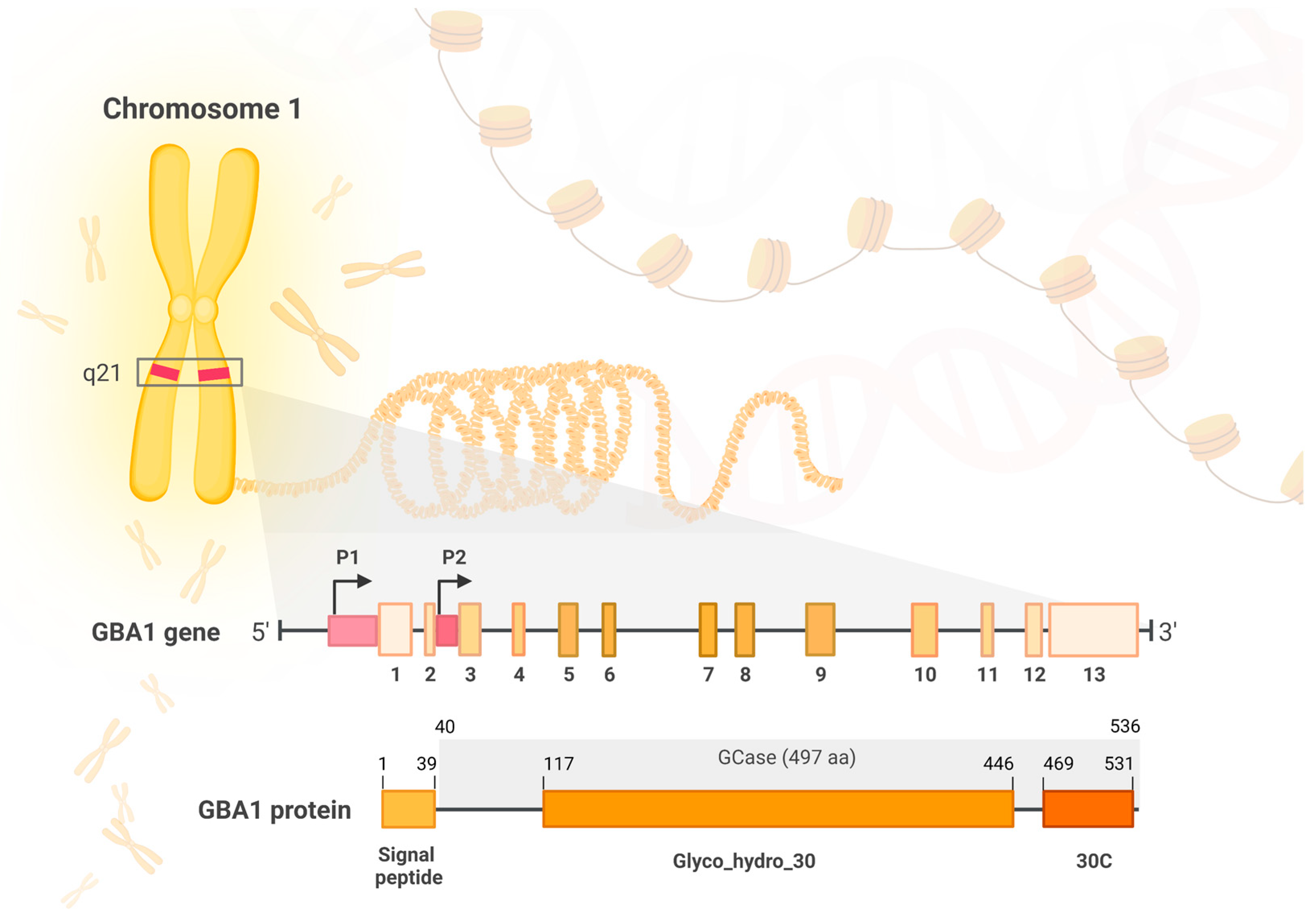 Ijms 24 02044 g001 Ijms 24 02044 g001