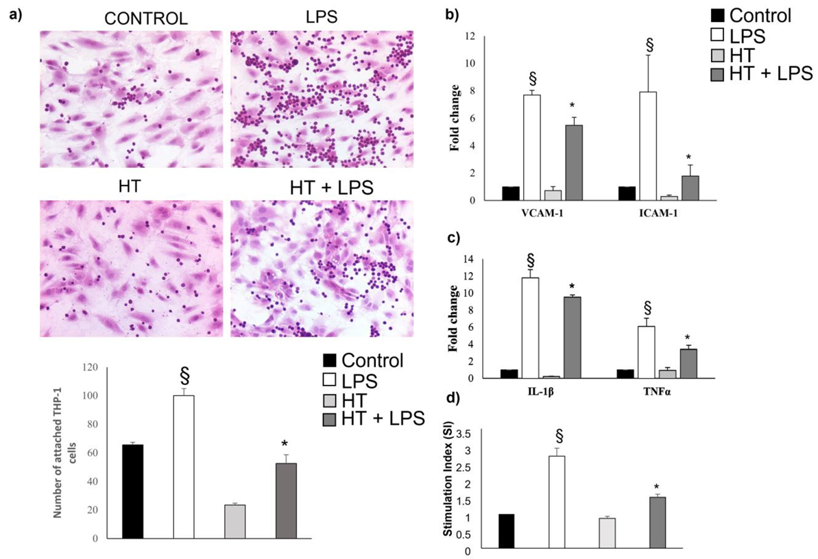 IJMS Free FullText Hydroxytyrosol Reduces Foam Cell Formation and