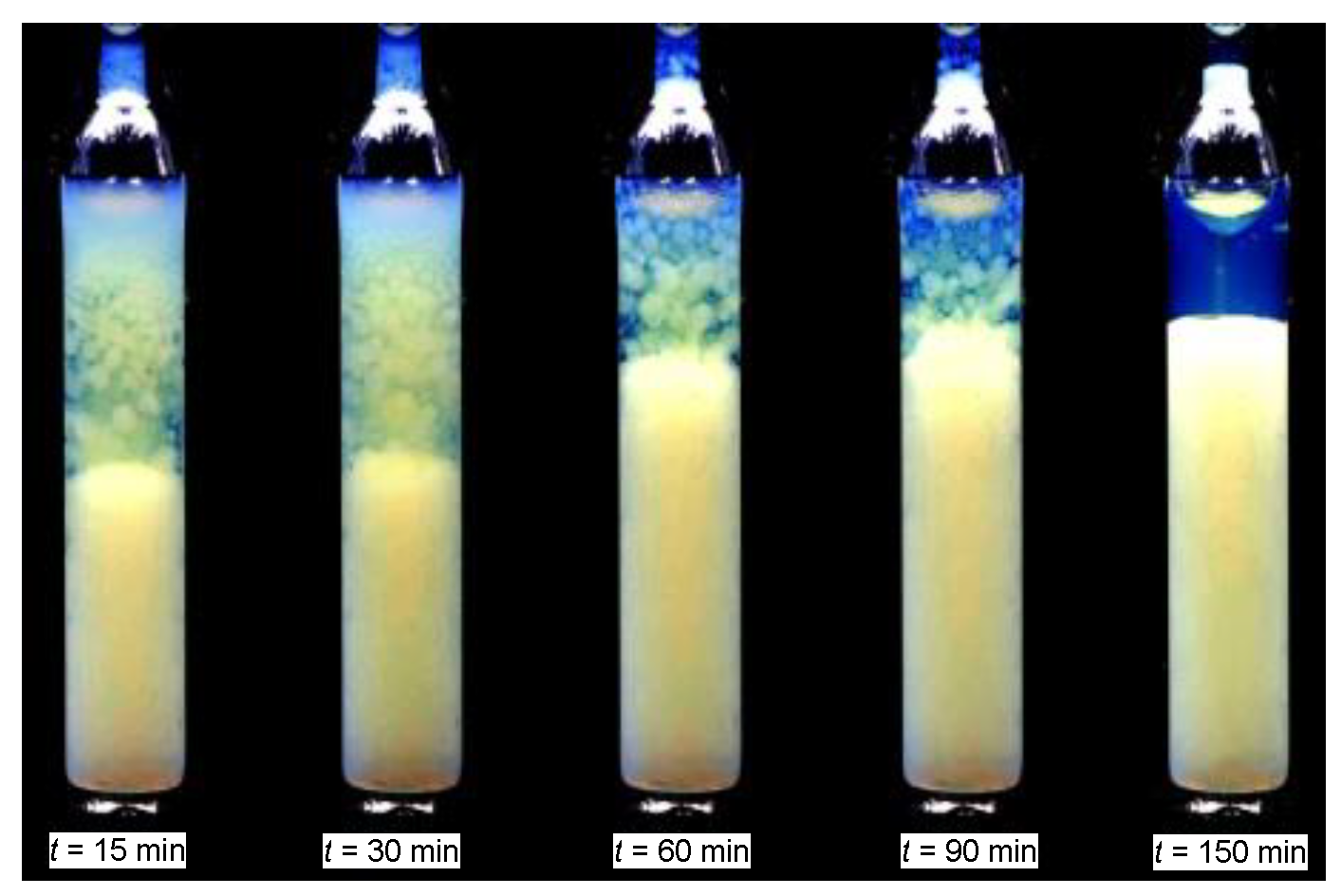 Ijms 24 02065 g003 Ijms 24 02065 g003