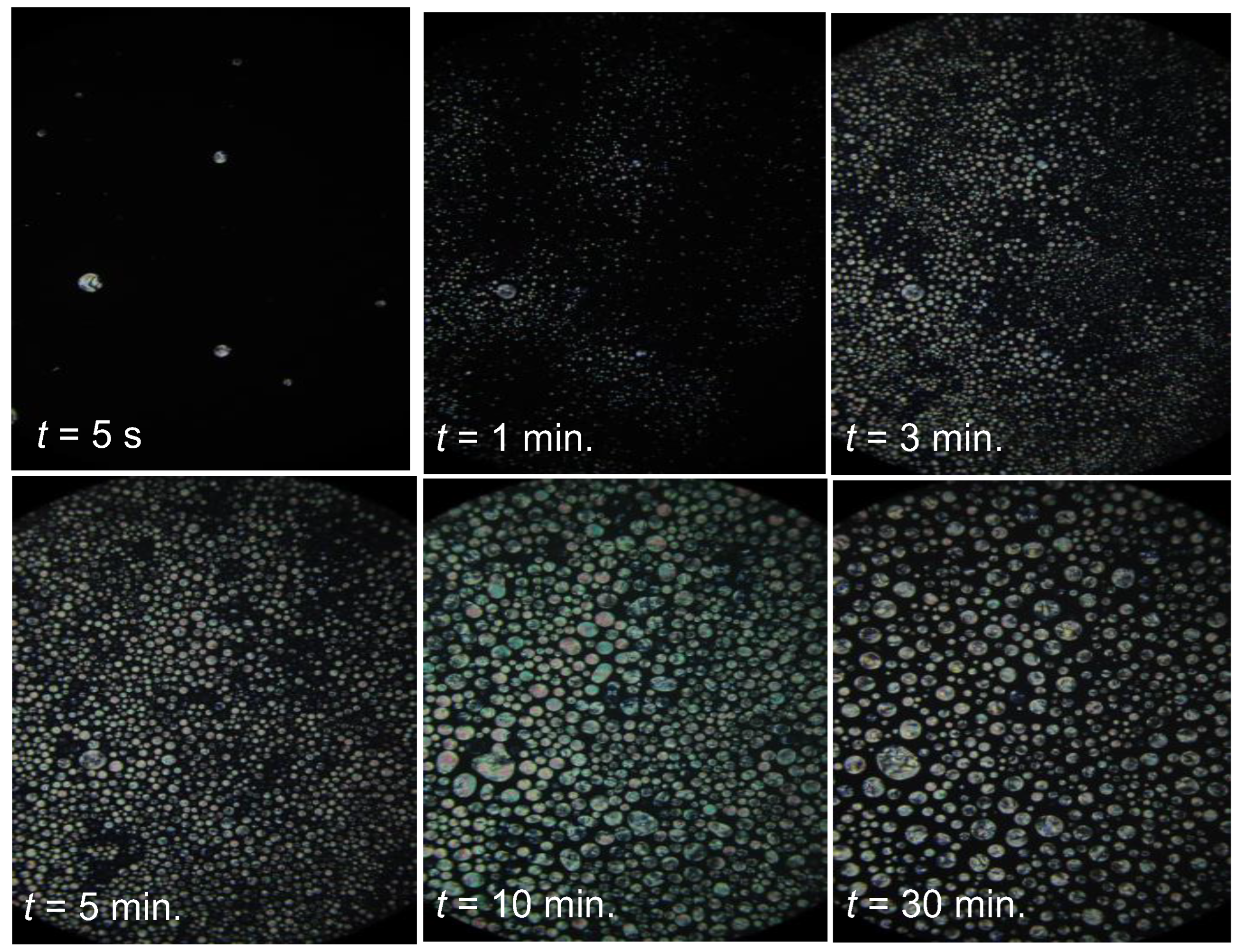 Ijms 24 02065 g004 Ijms 24 02065 g004