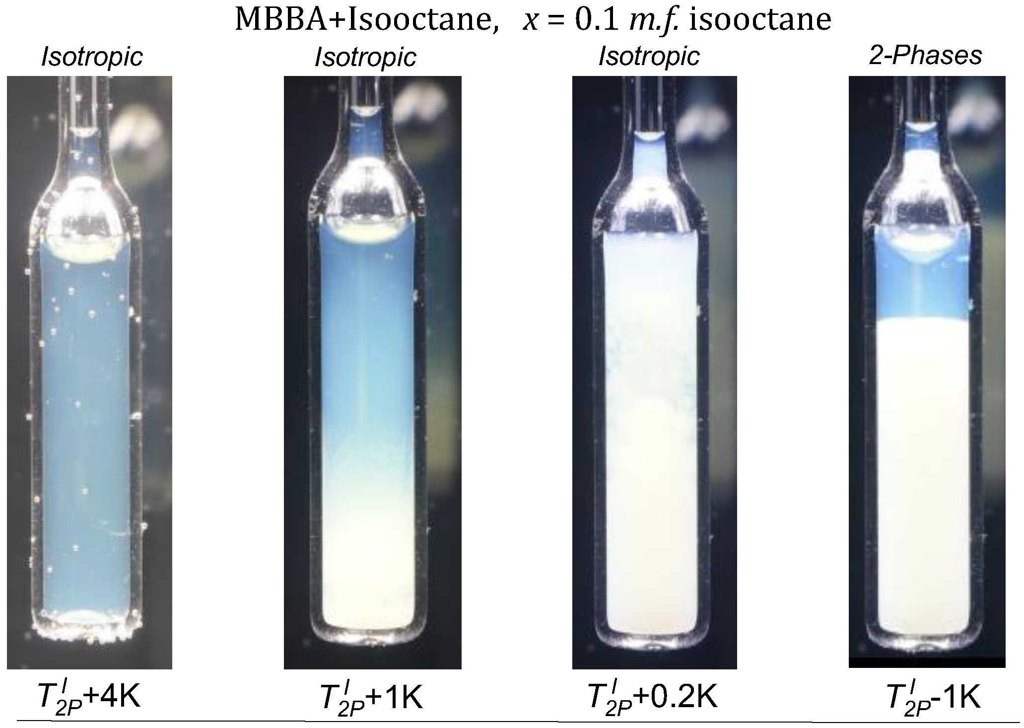 Ijms 24 02065 g007 Ijms 24 02065 g007