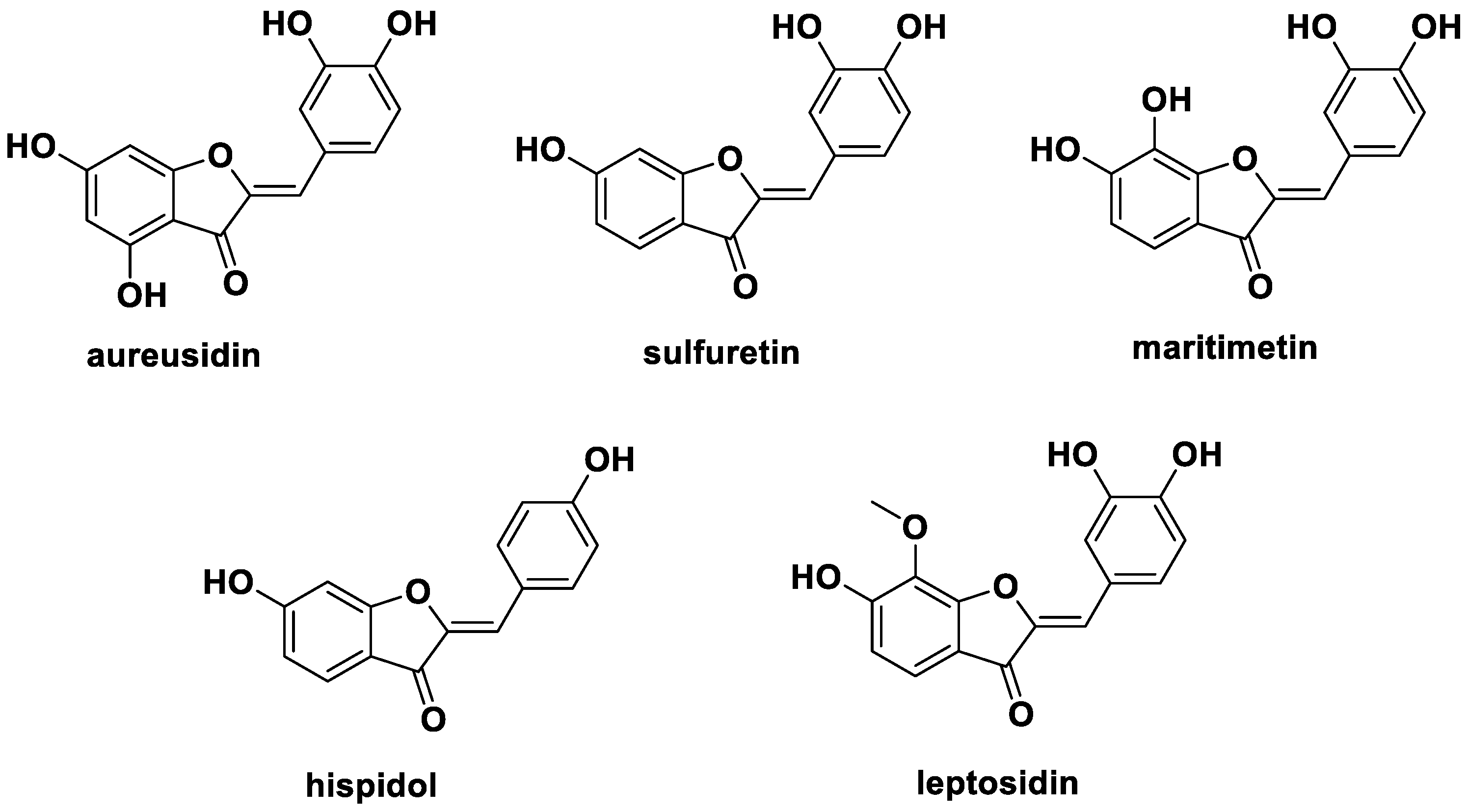 Ijms 24 02066 g001 Ijms 24 02066 g001