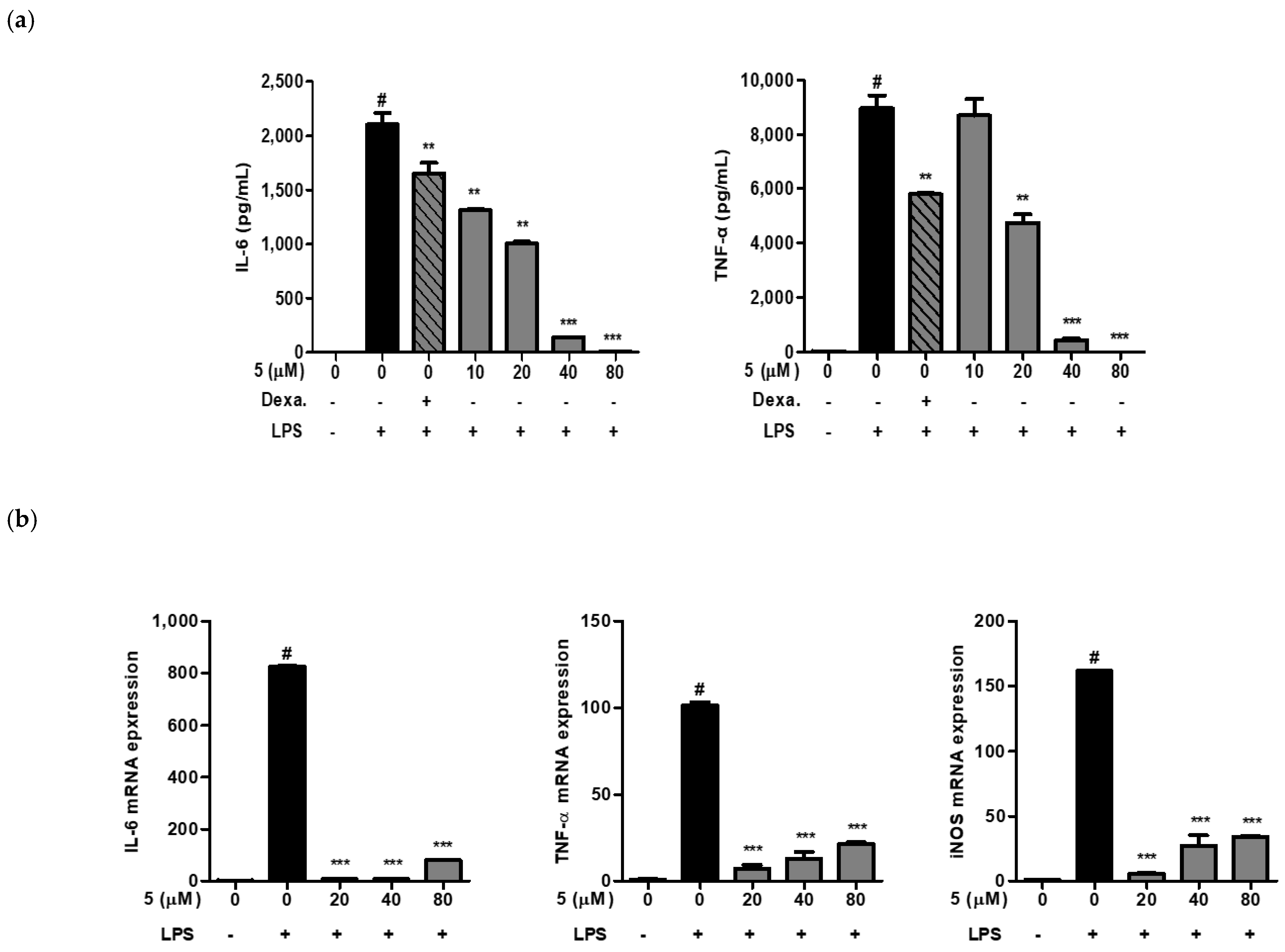 Ijms 24 02066 g005 Ijms 24 02066 g005
